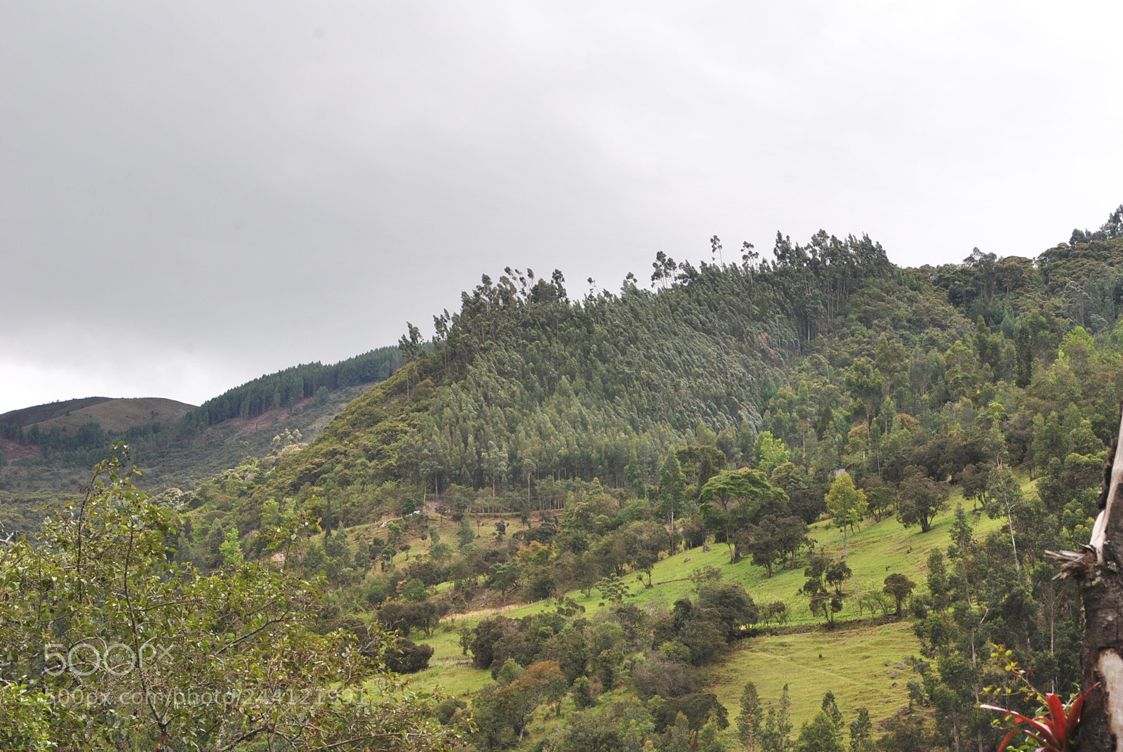 Nikon D3000 sample photo. Paisajes rurales photography
