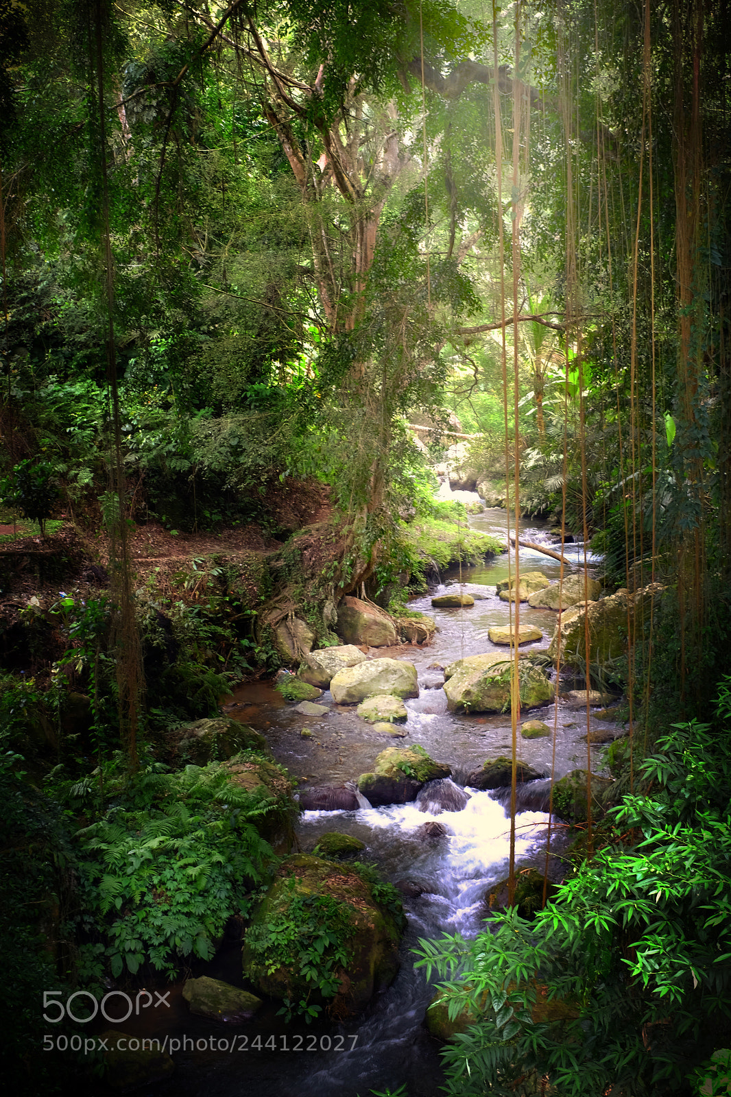 Fujifilm X100S sample photo. Bali forest photography