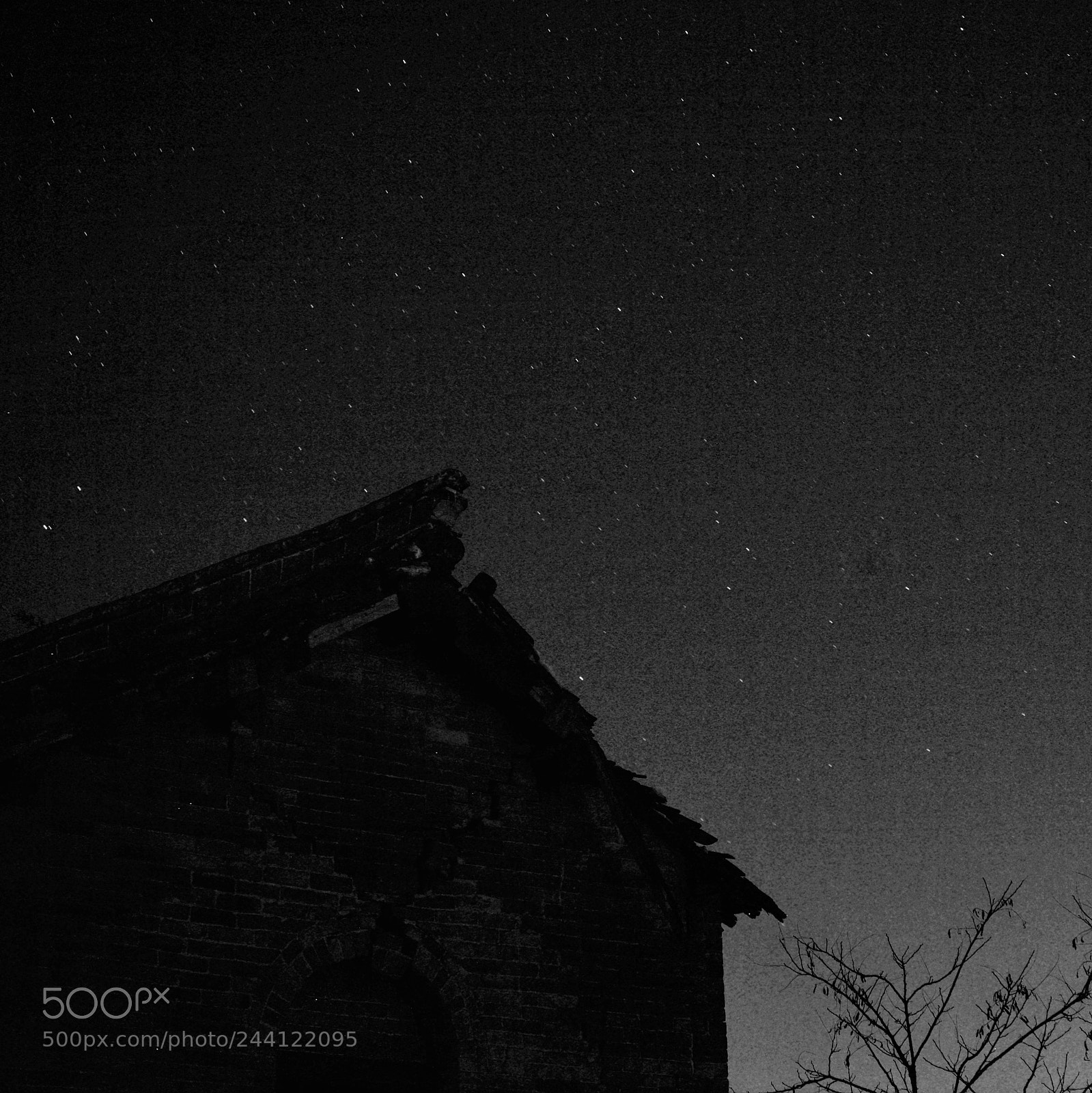 Sony a7 II sample photo. Starry night photography