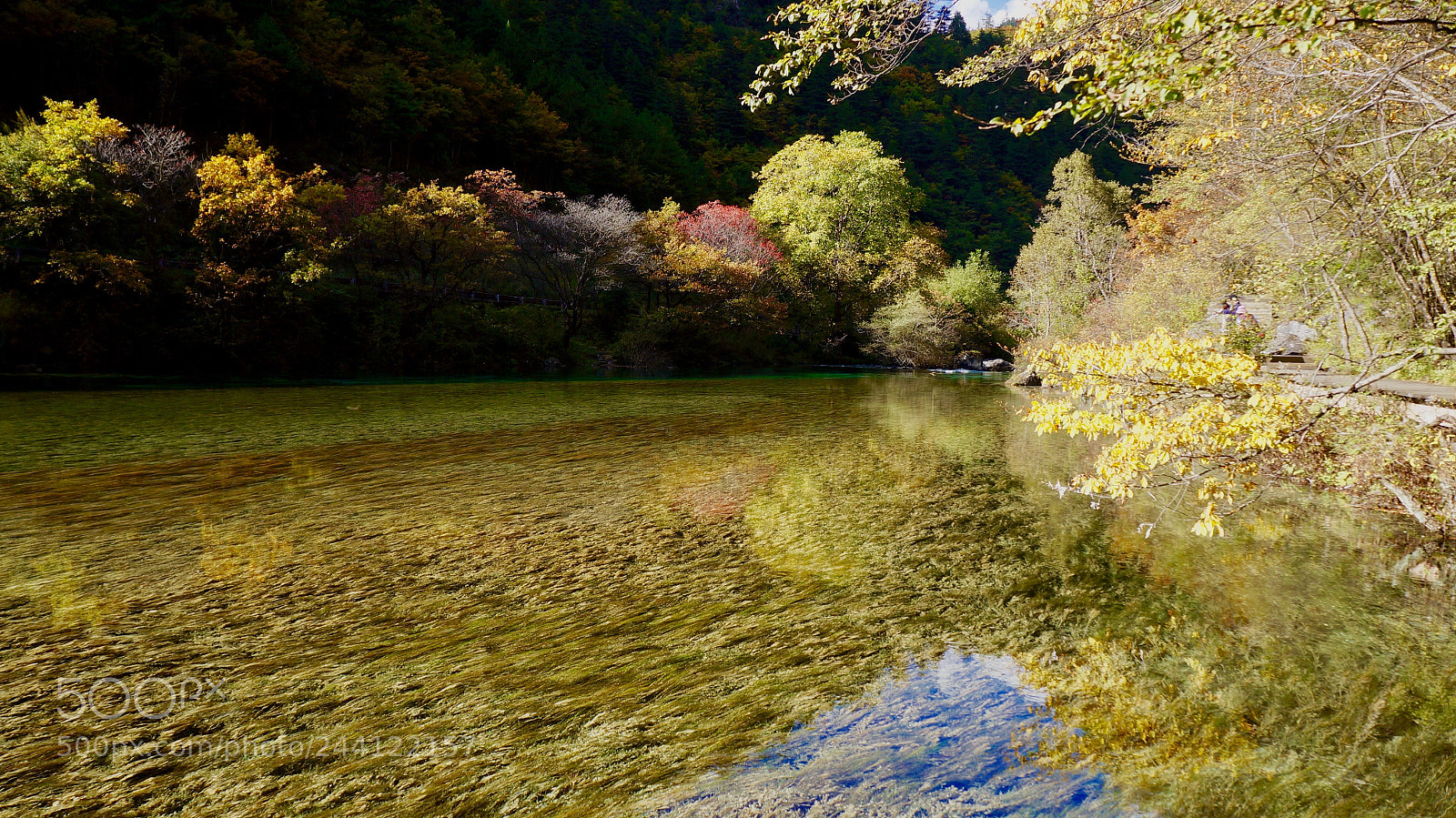 Sony Alpha NEX-5N sample photo. Untitled photography
