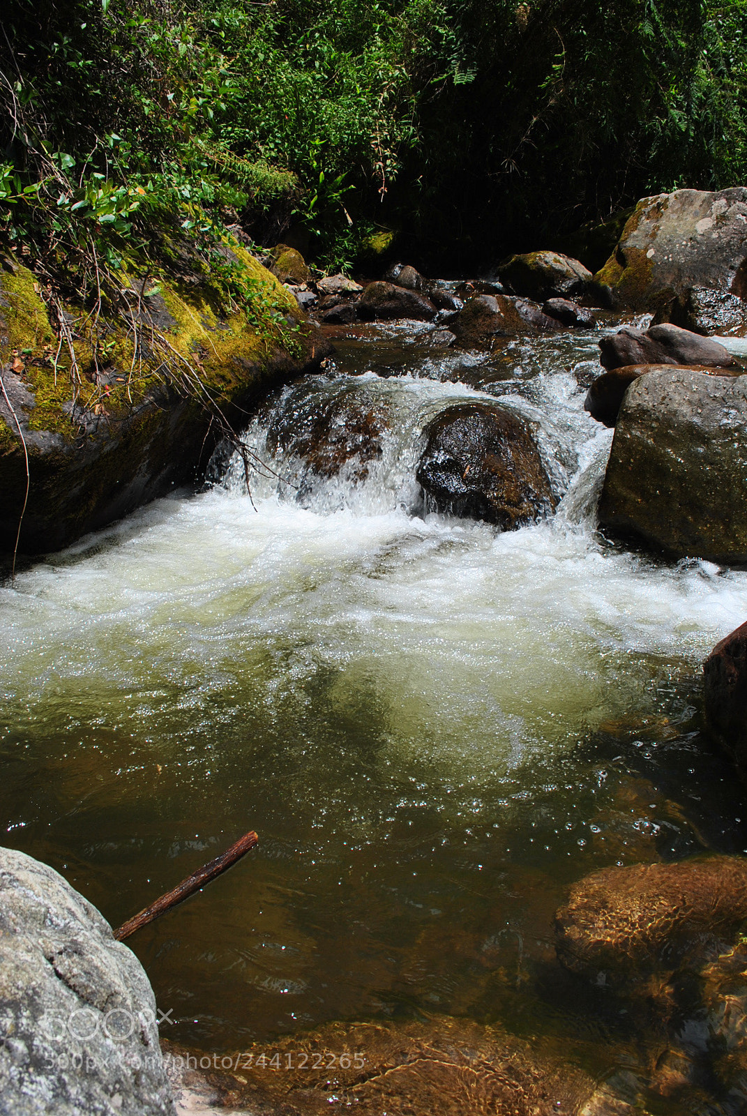 Nikon D3000 sample photo. Movimiento continuo photography