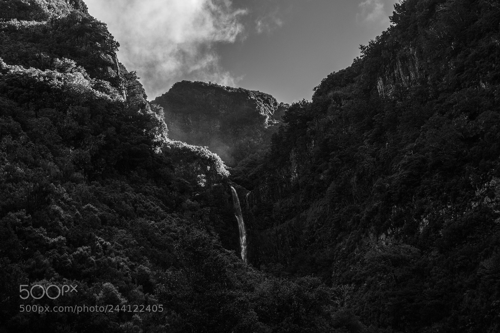 Canon EOS 7D Mark II sample photo. Madeira jungle photography