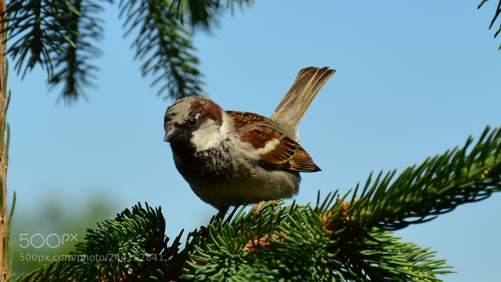 Nikon D3200 sample photo. Csc photography