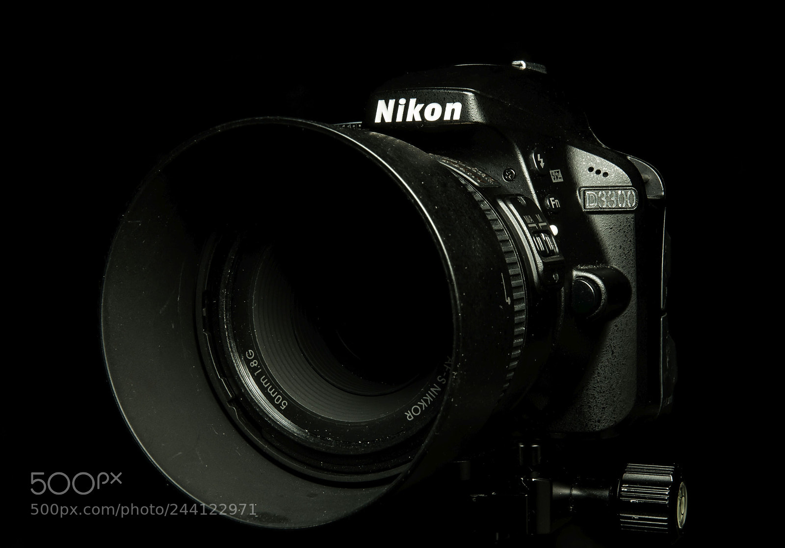 Nikon D300 sample photo. D photography