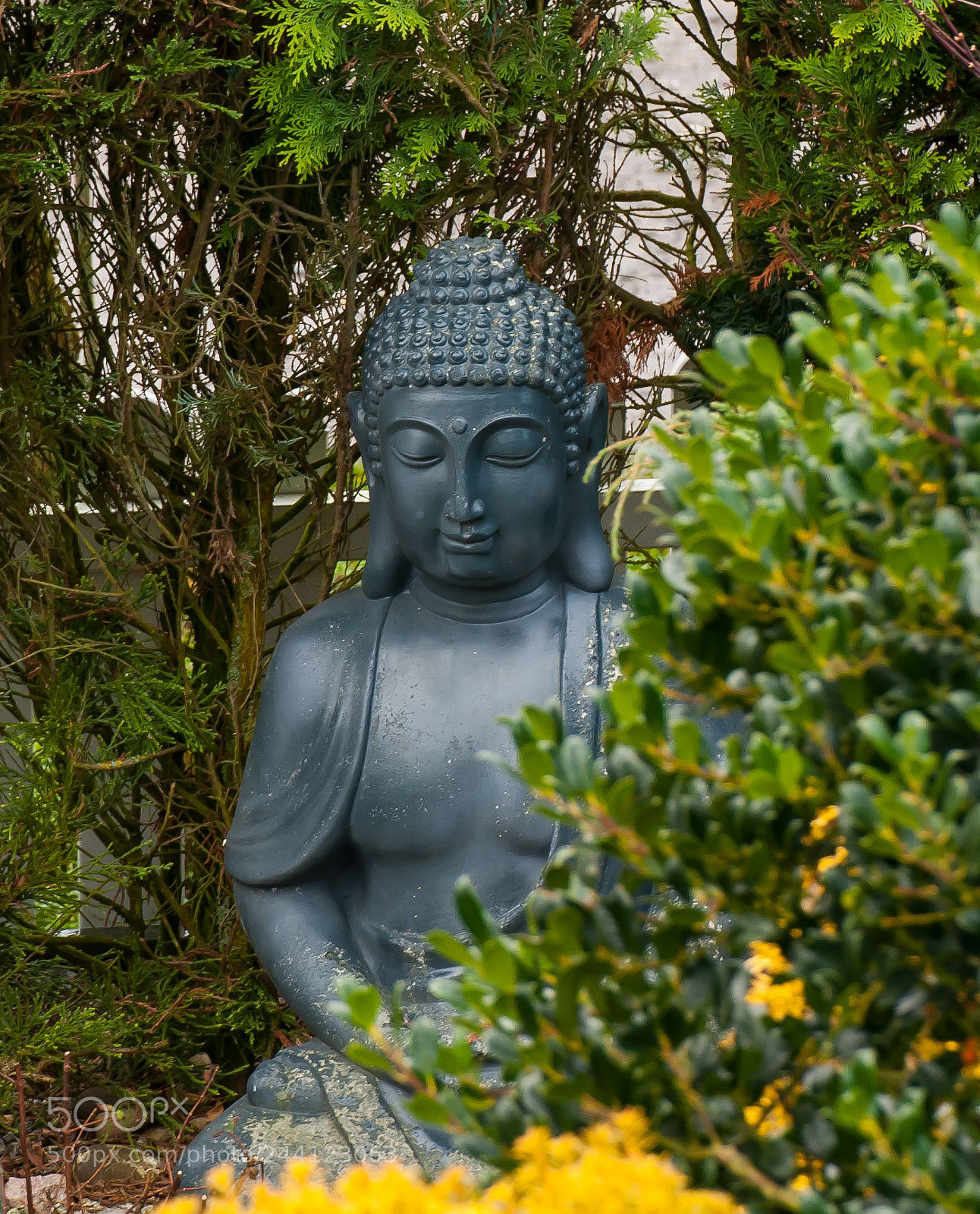 Nikon D300 sample photo. Buddah photography