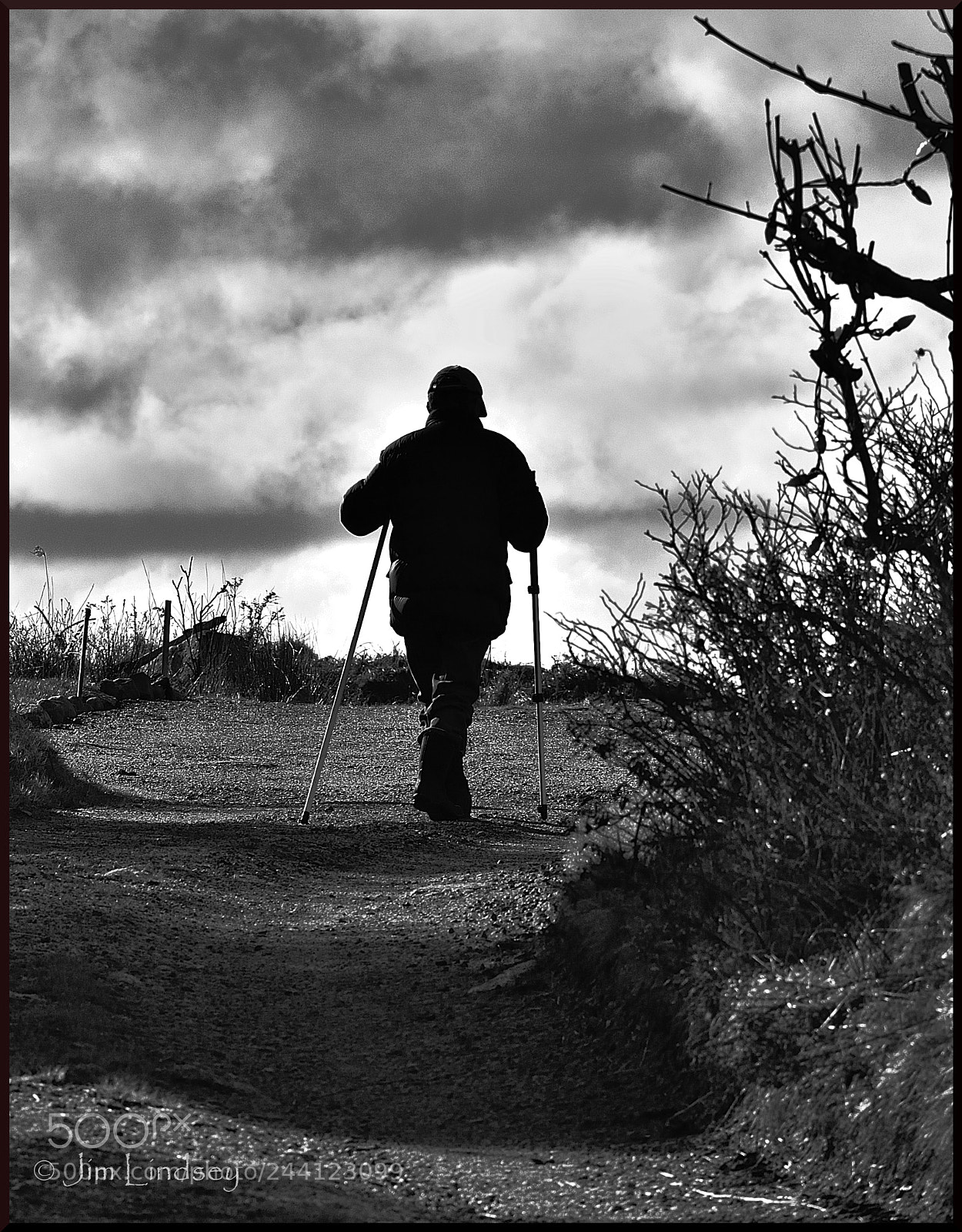 Nikon D3100 sample photo. Little mac w canes photography