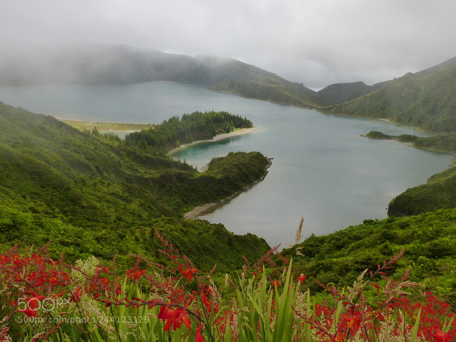 Panasonic Lumix DMC-FZ200 sample photo. Red lac photography