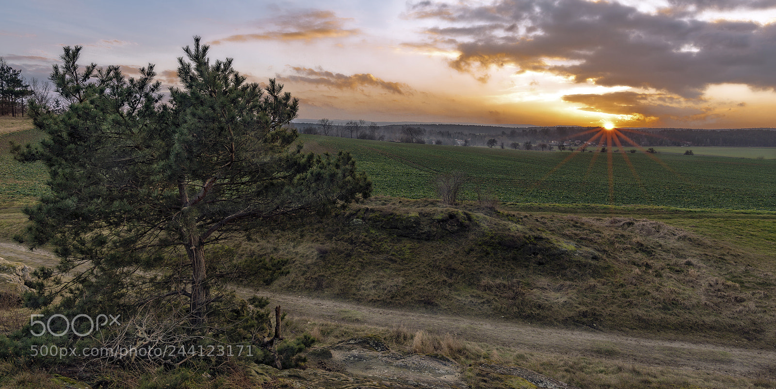 Nikon D810 sample photo. An evening on field photography