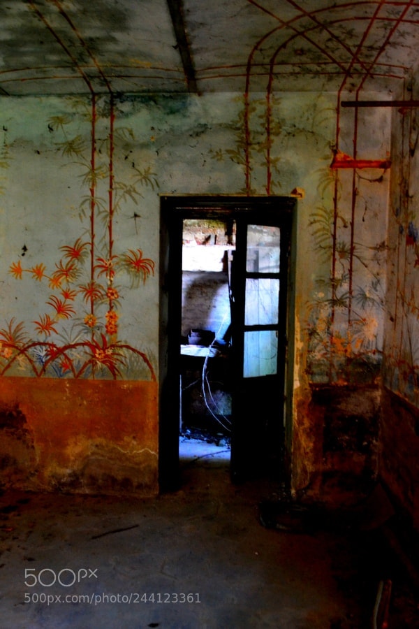 Nikon D3100 sample photo. Porta . casale photography