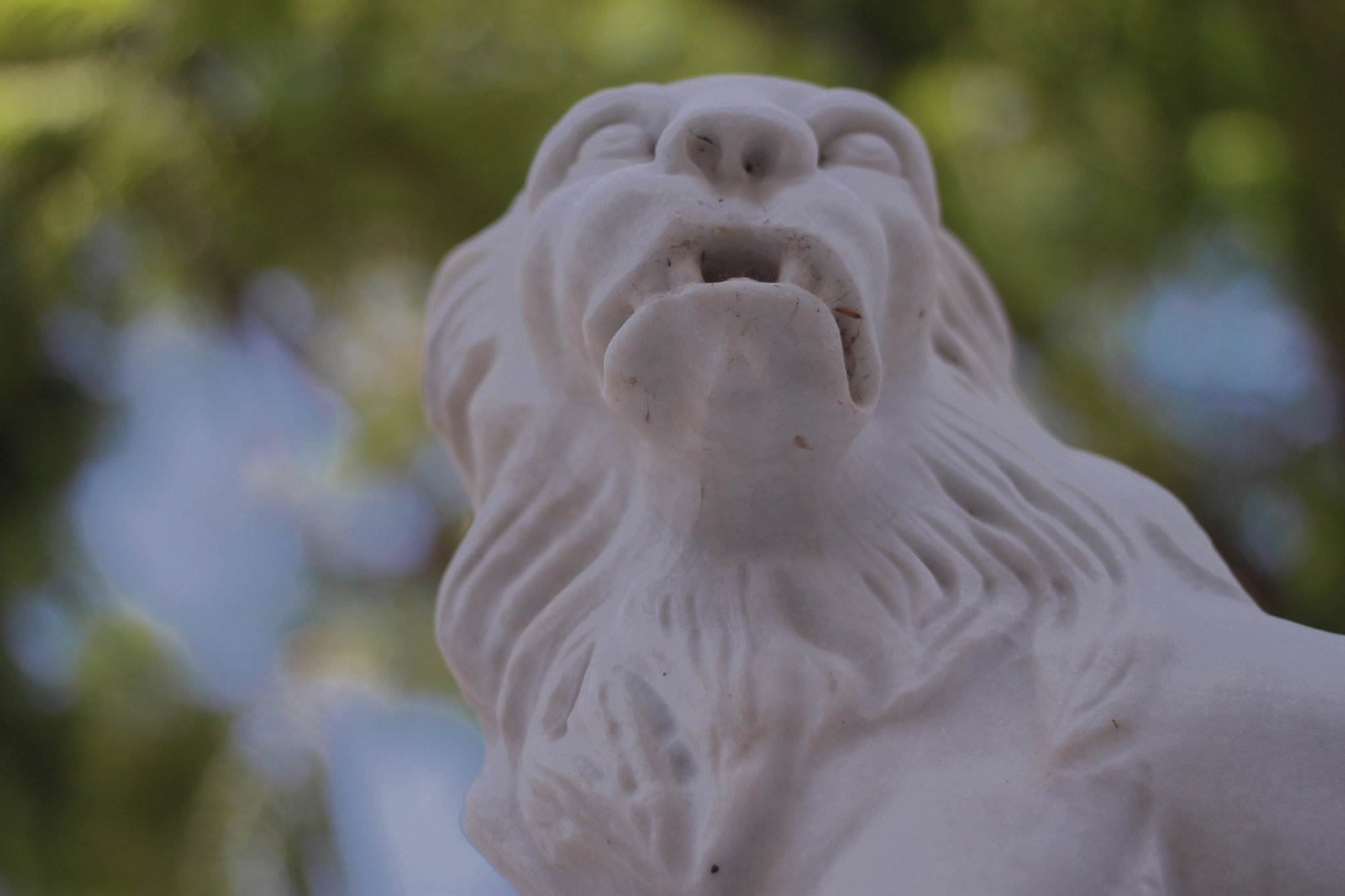 Canon EOS 500D (EOS Rebel T1i / EOS Kiss X3) + Canon EF 50mm f/1.8 sample photo. Spain 2015 photography