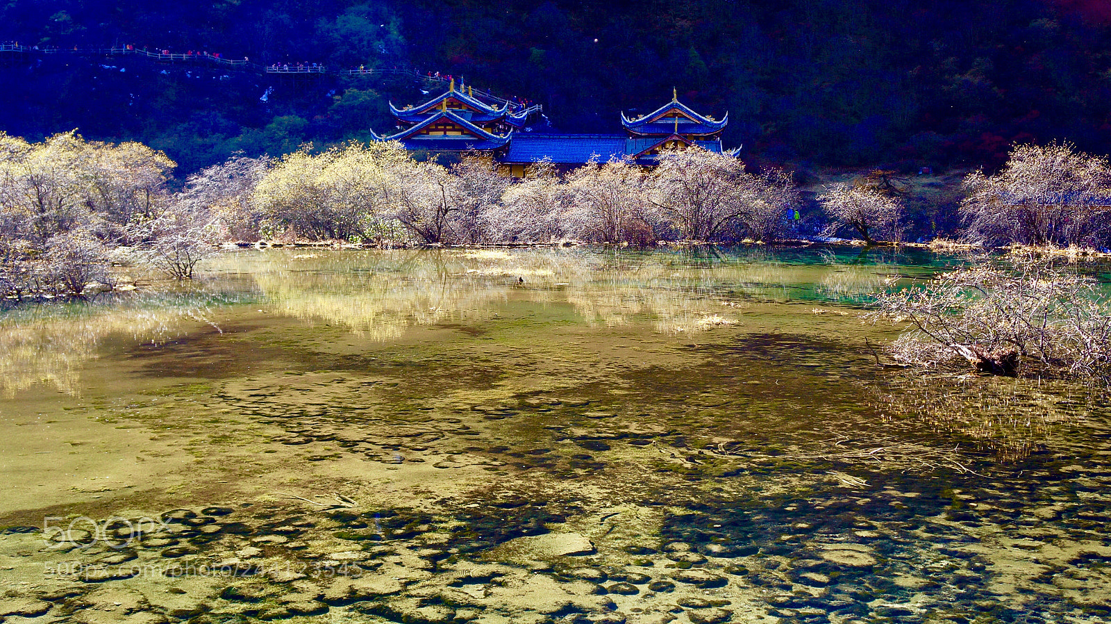 Sony Alpha NEX-5N sample photo. Untitled photography