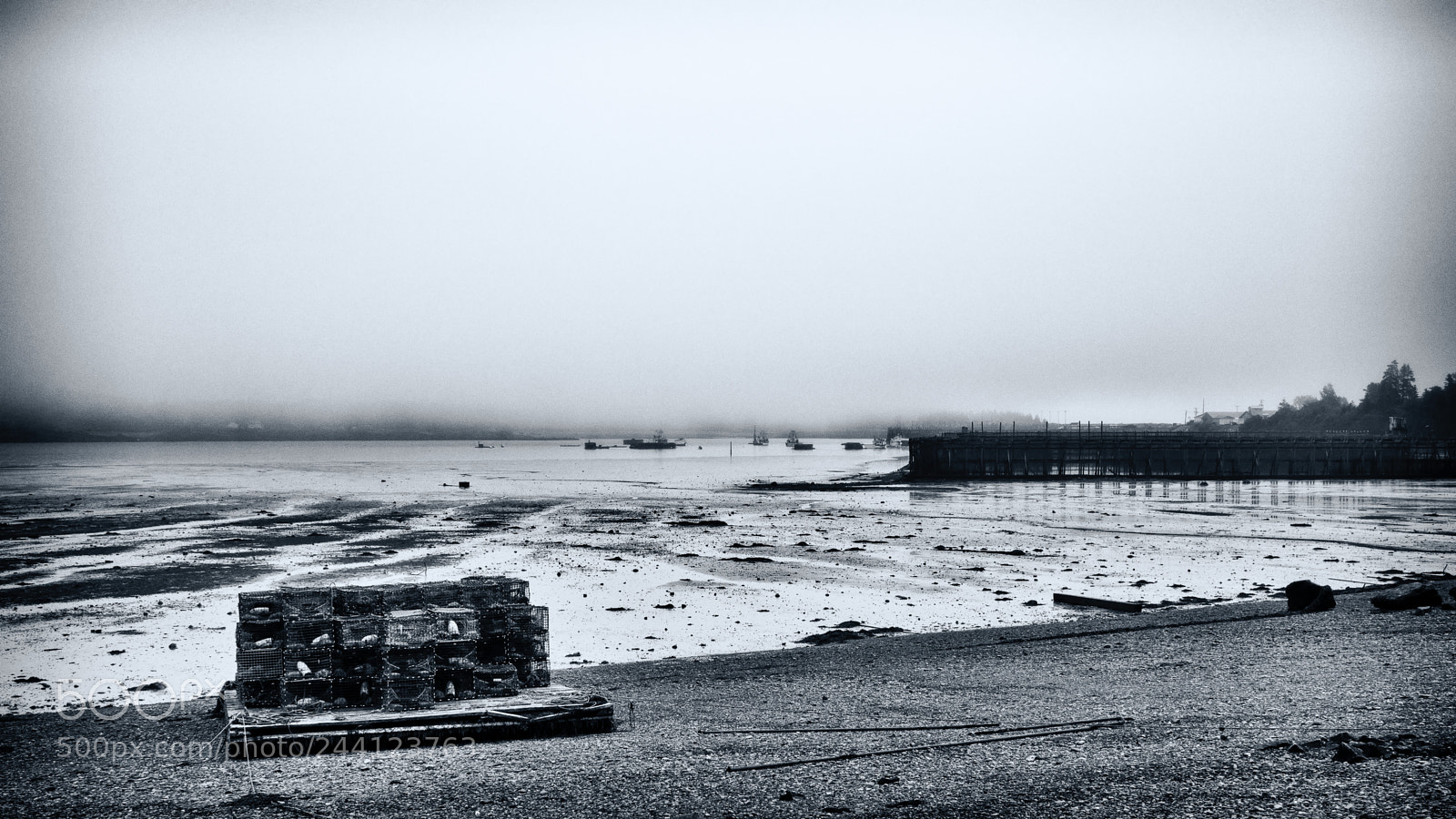 Olympus OM-D E-M5 sample photo. Waiting for the tide photography
