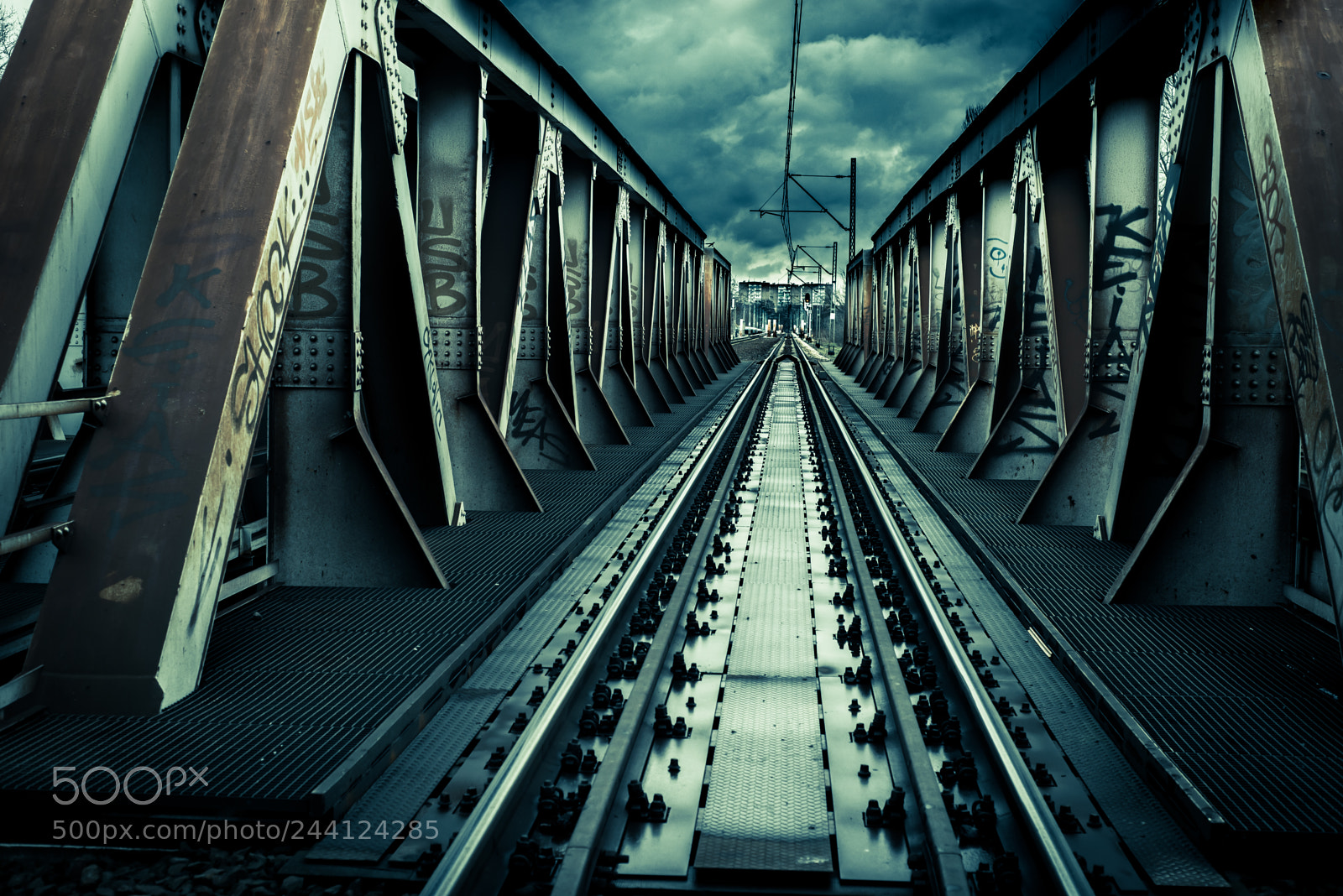 Nikon D610 sample photo. Bridge photography