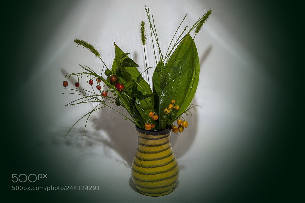 Canon EOS 50D sample photo. Memories of the spring photography