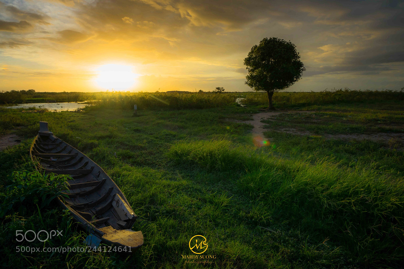 Sony a7R sample photo. ភាពឯការ ! loneliness ! photography