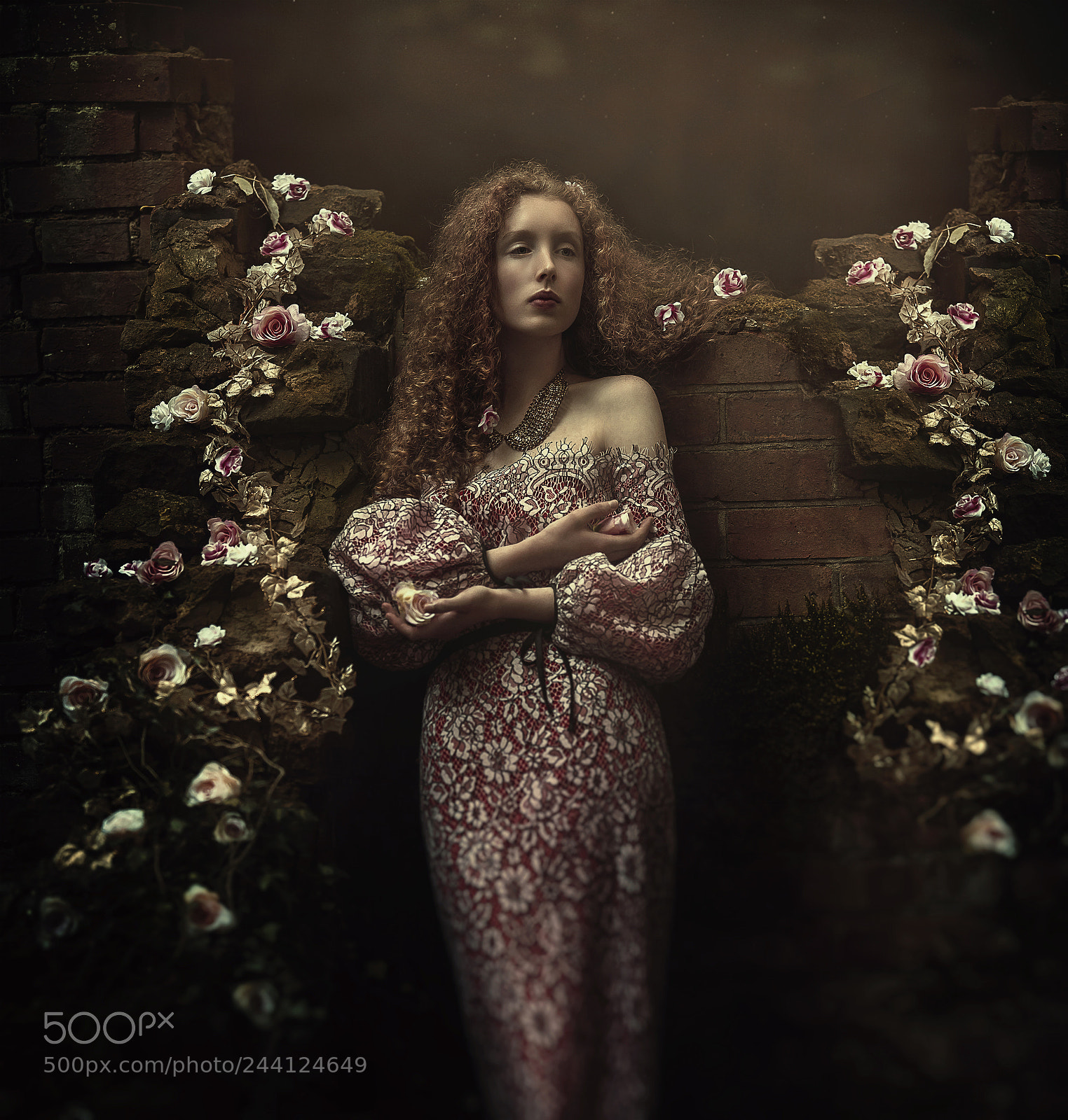 Nikon D810 sample photo. Rose photography