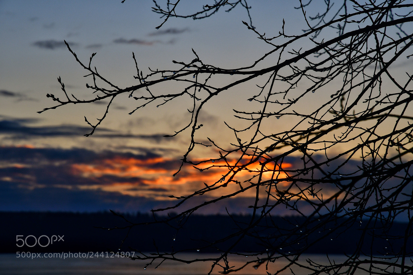 Nikon D500 sample photo. Sunrise photography