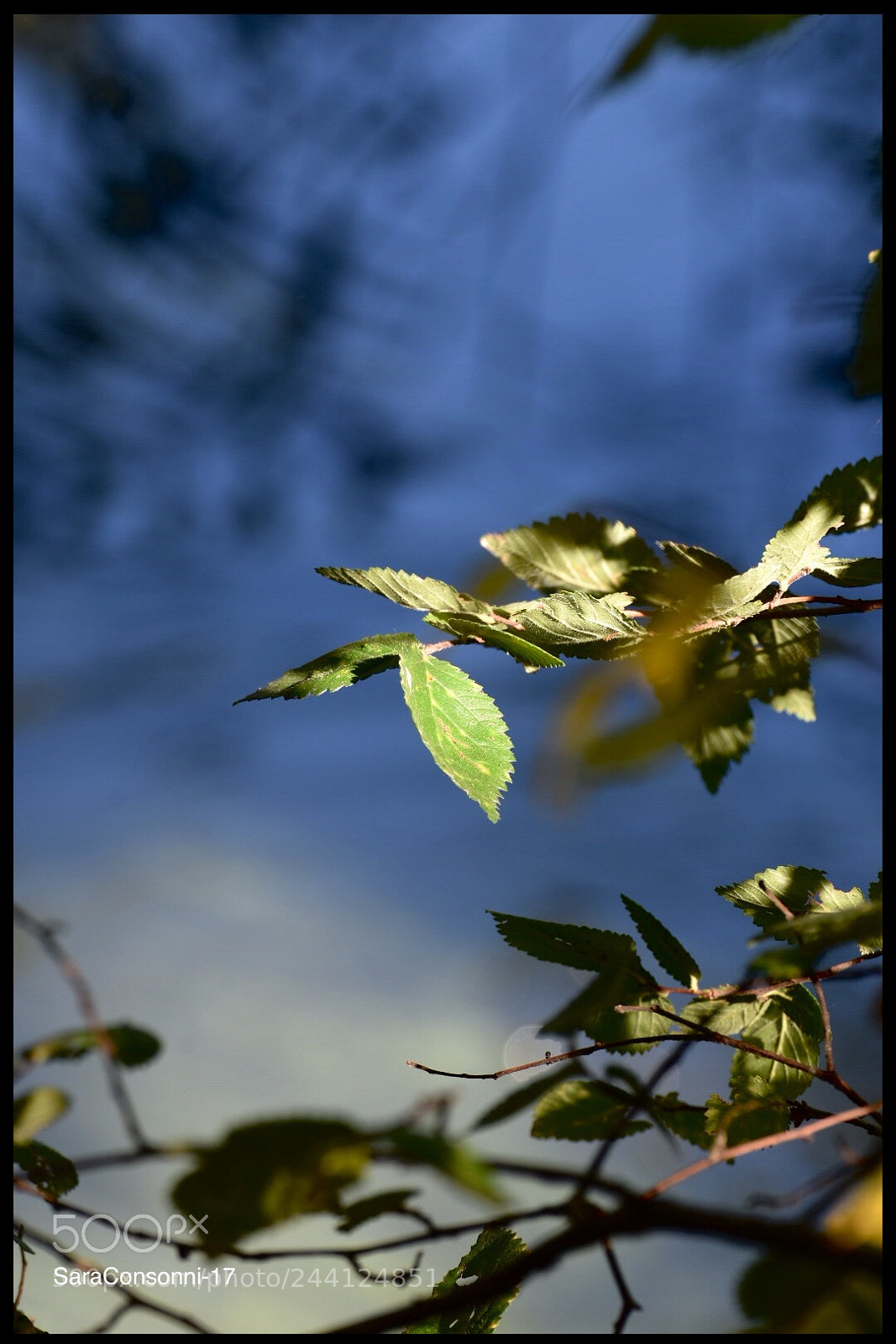 Nikon D7200 sample photo. Luce photography