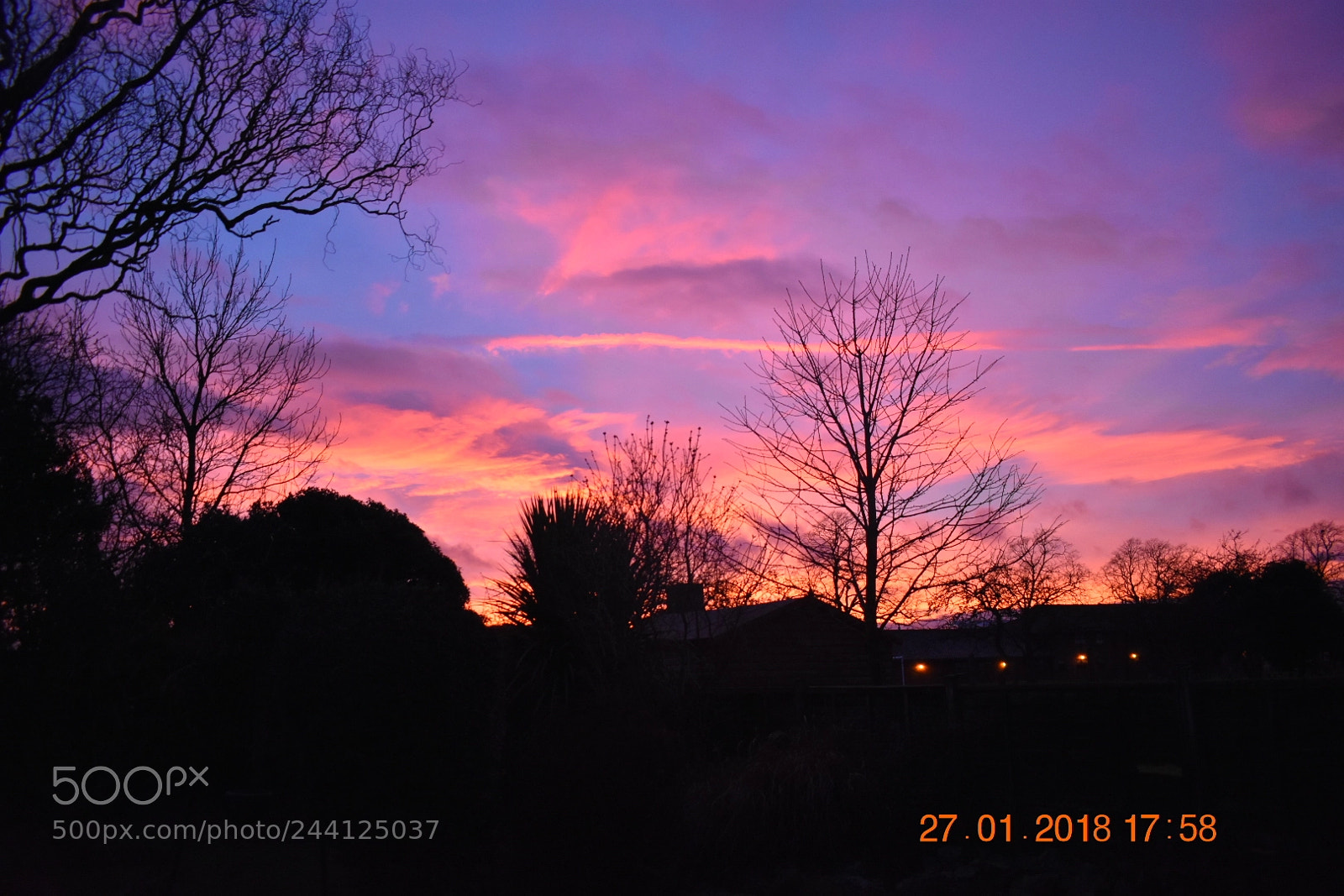 Nikon D3400 sample photo. Garden sunset photography