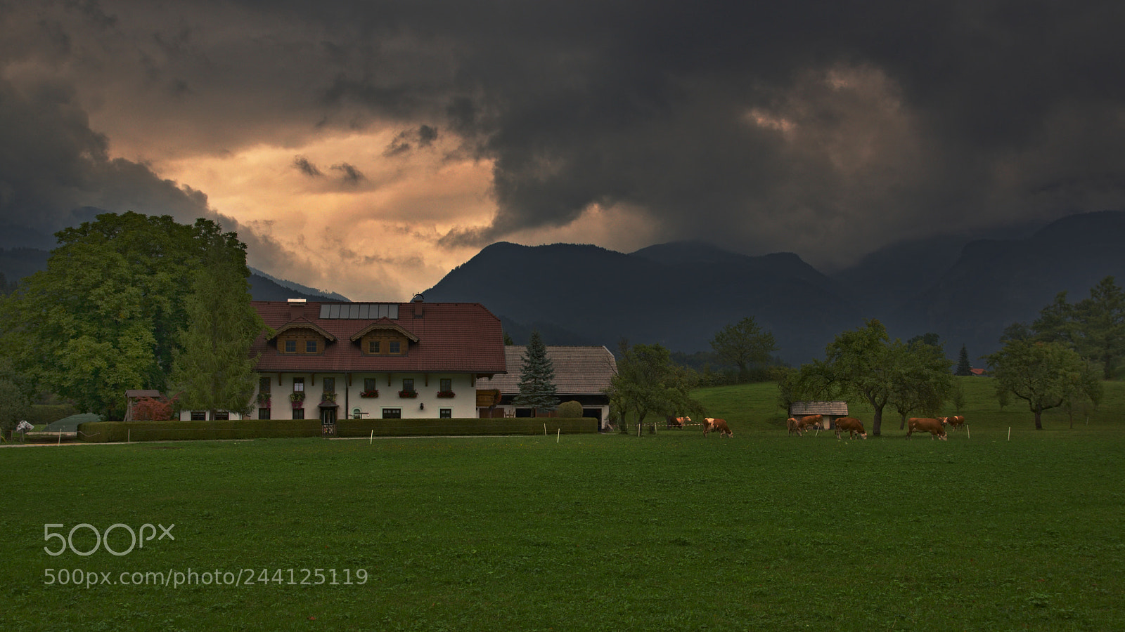 Sony SLT-A65 (SLT-A65V) sample photo. Strobl - austria photography