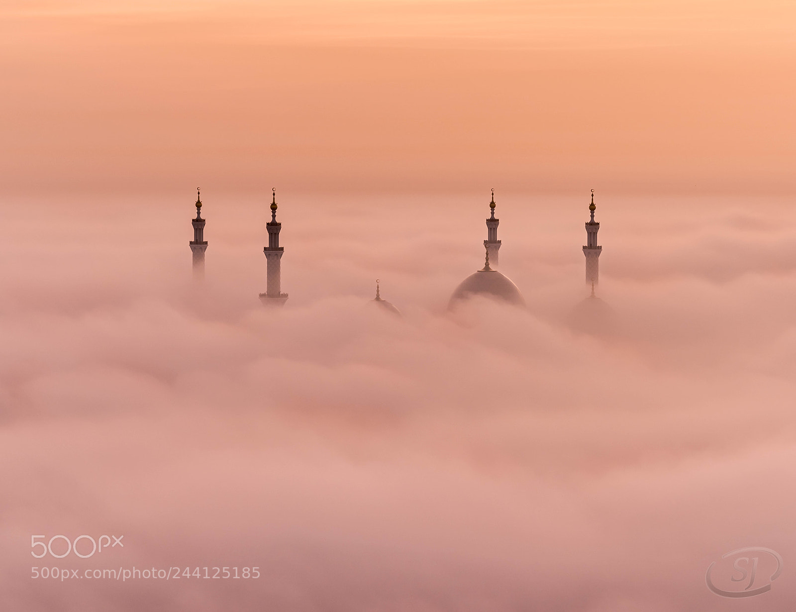 Sony a7R III sample photo. A foggy day photography