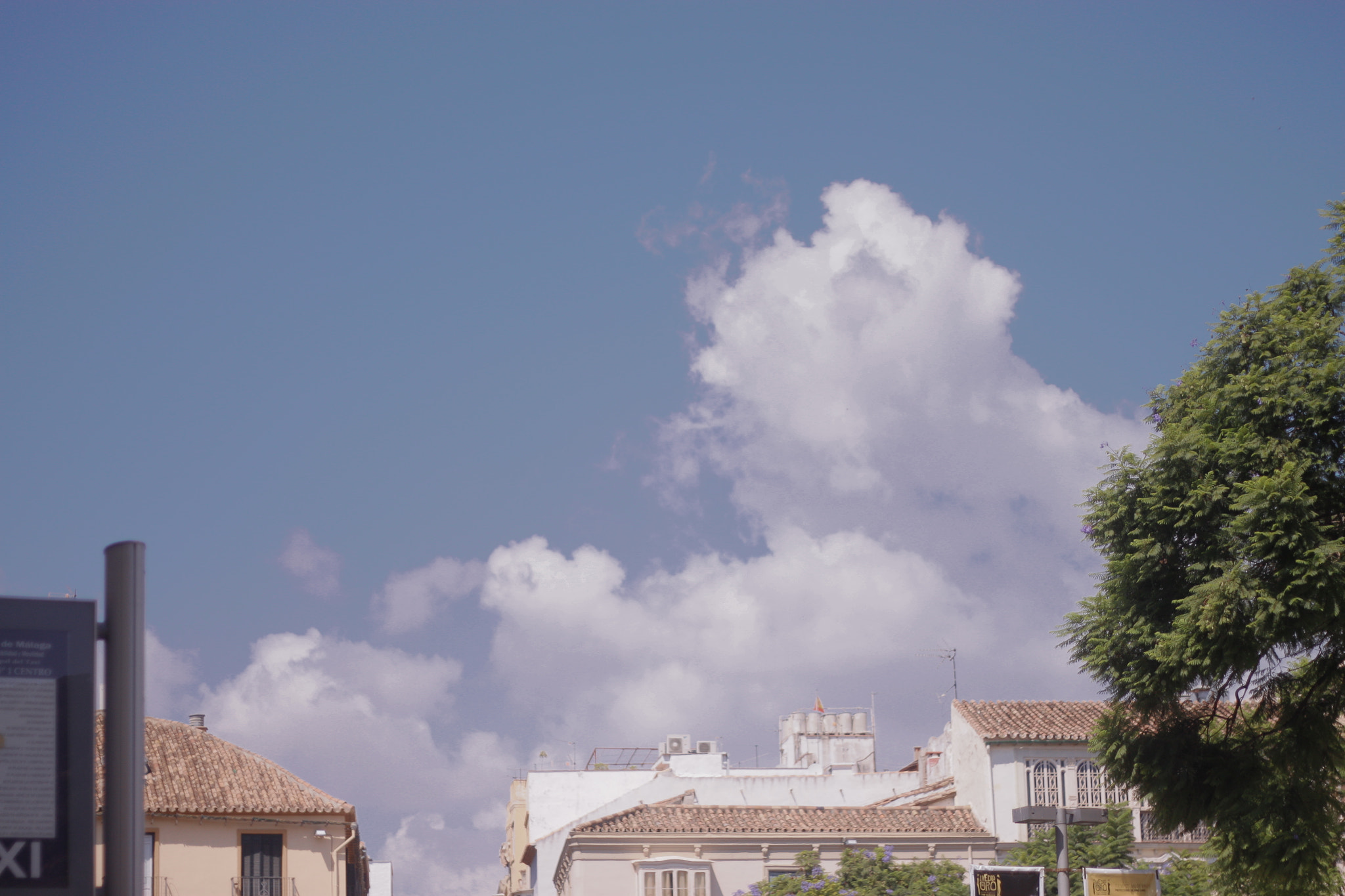 Canon EOS 500D (EOS Rebel T1i / EOS Kiss X3) + Canon EF 50mm f/1.8 sample photo. Spain 2015 photography
