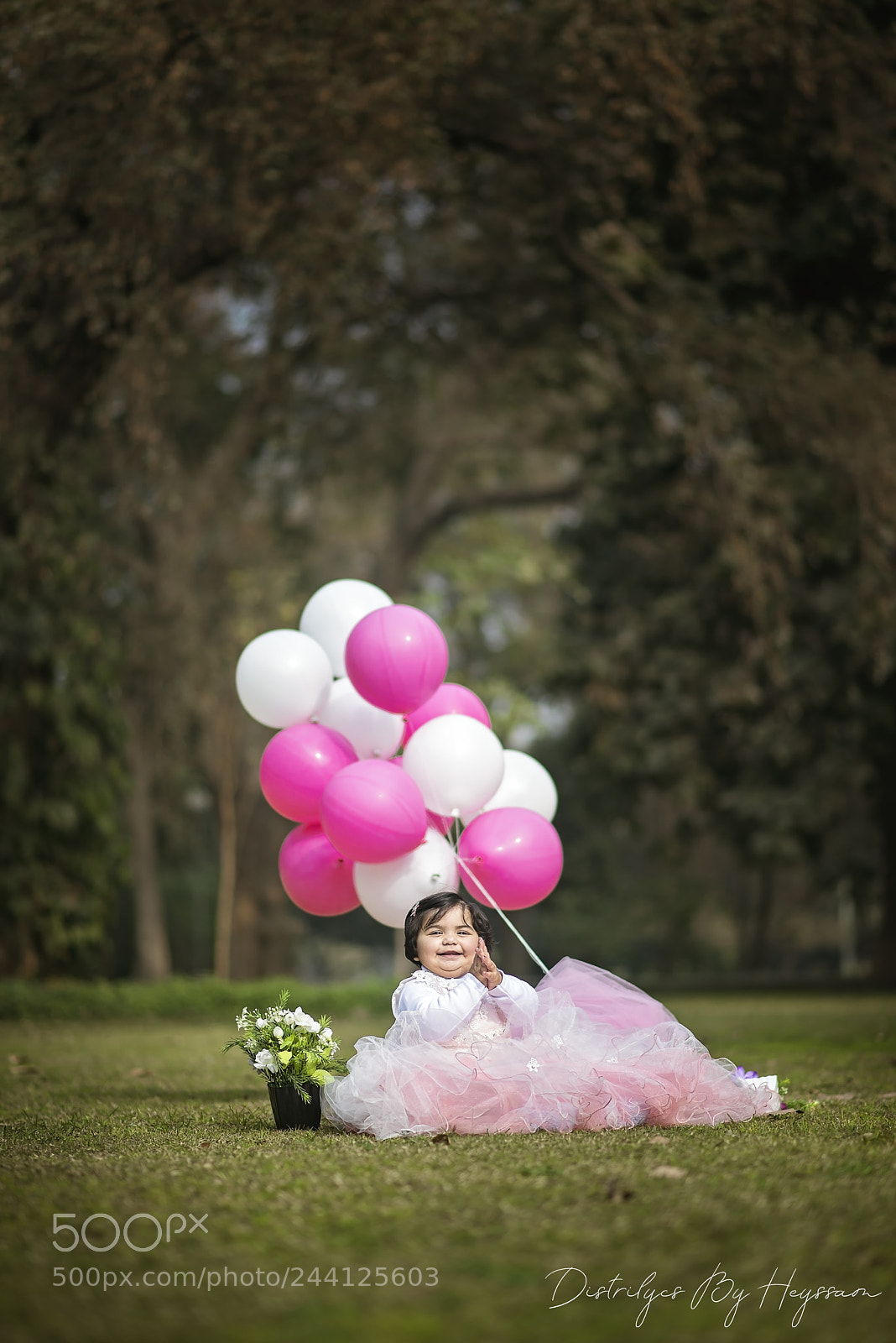 Nikon D610 sample photo. Saniya 1 photography