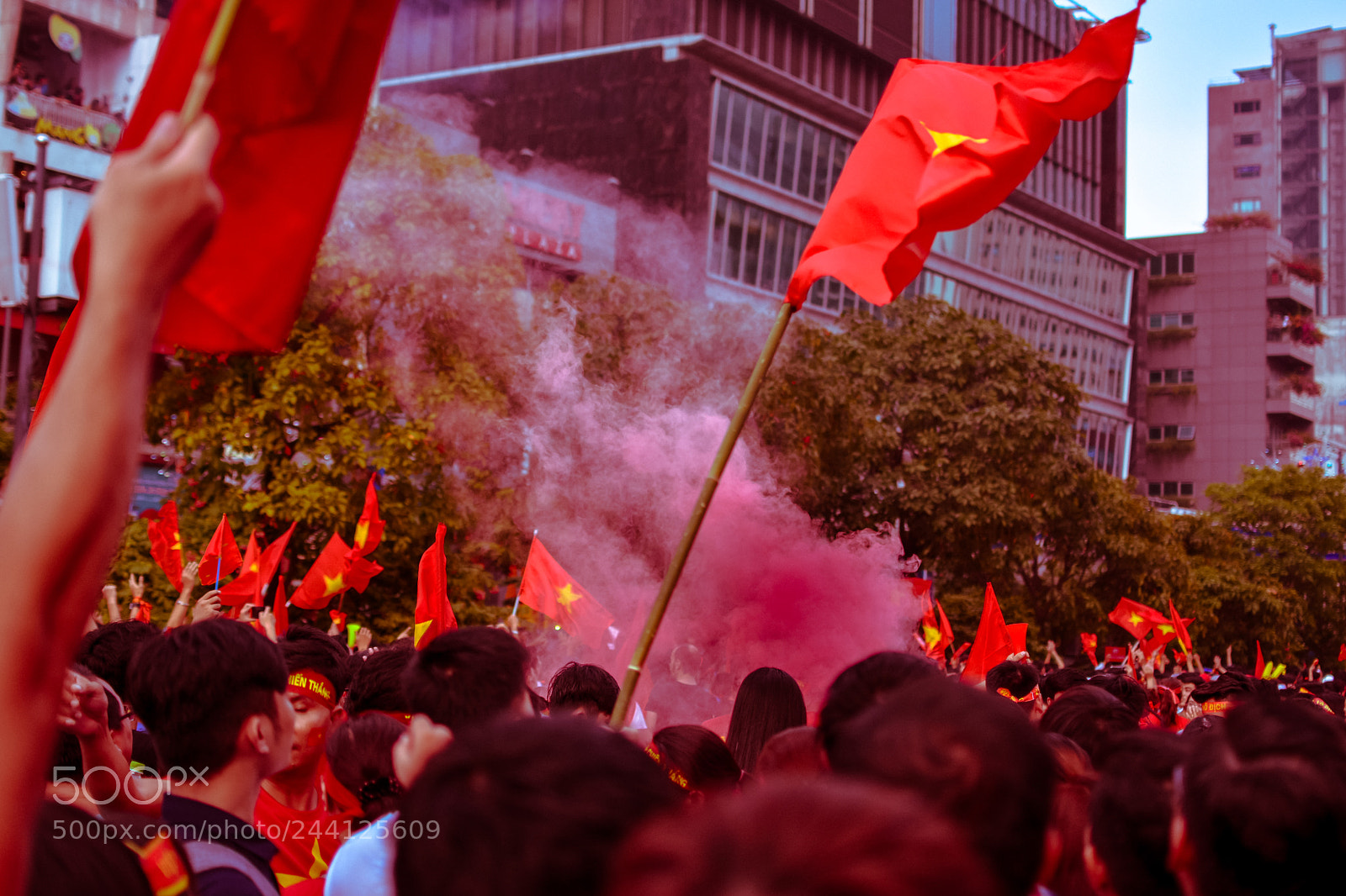Nikon D7100 sample photo. Red photography