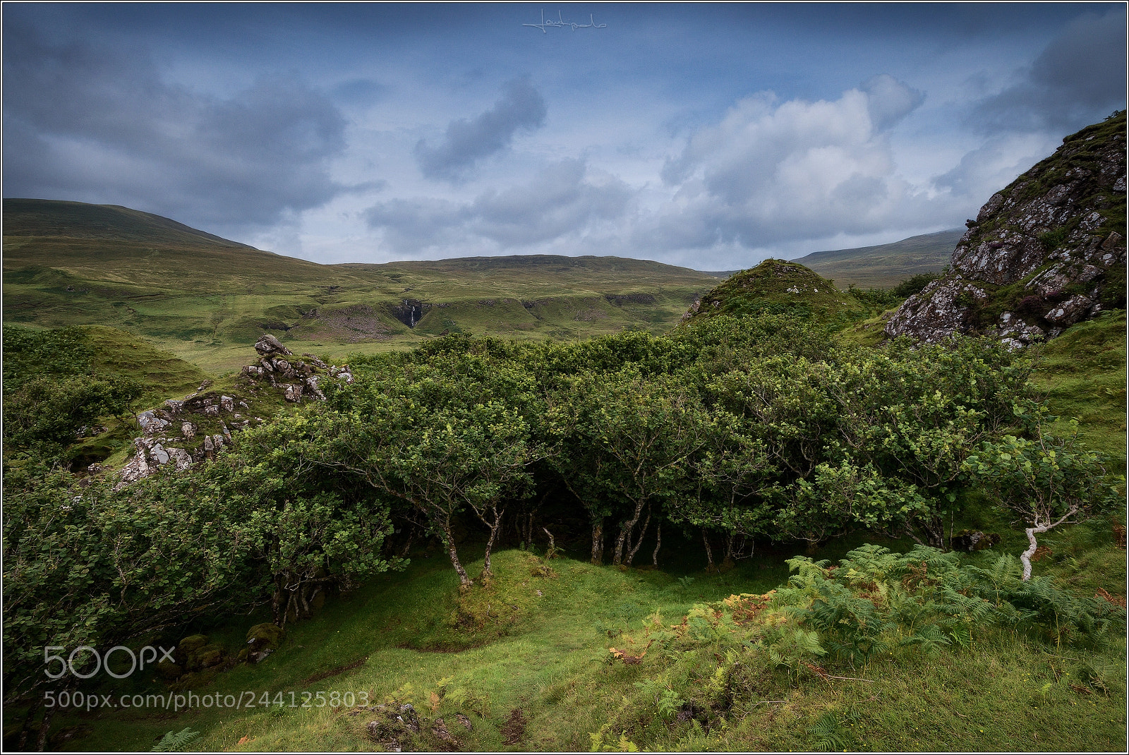 Nikon D800 sample photo. Fairy glen photography
