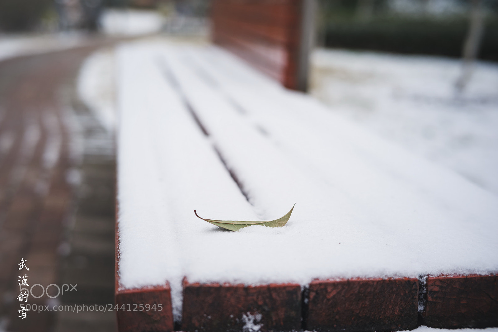 Sony a7 II sample photo. Snow photography