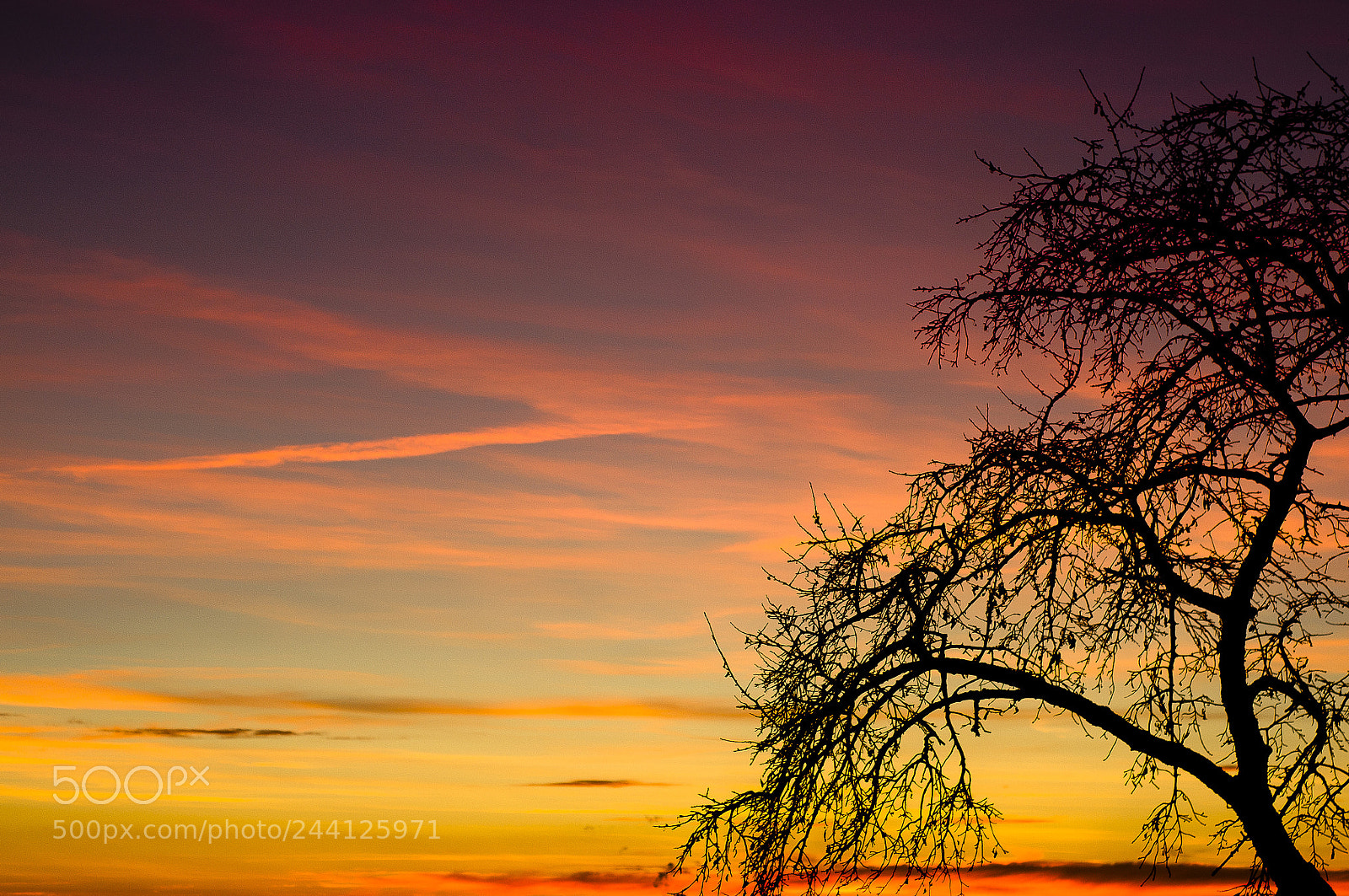 Nikon D90 sample photo. Sundown #2 photography