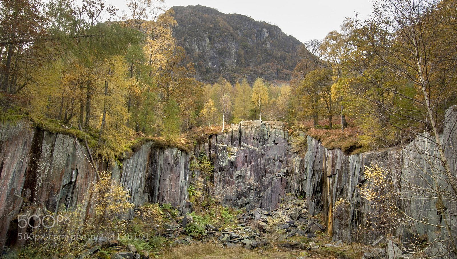 Nikon D70 sample photo. Borrowdale quarry photography