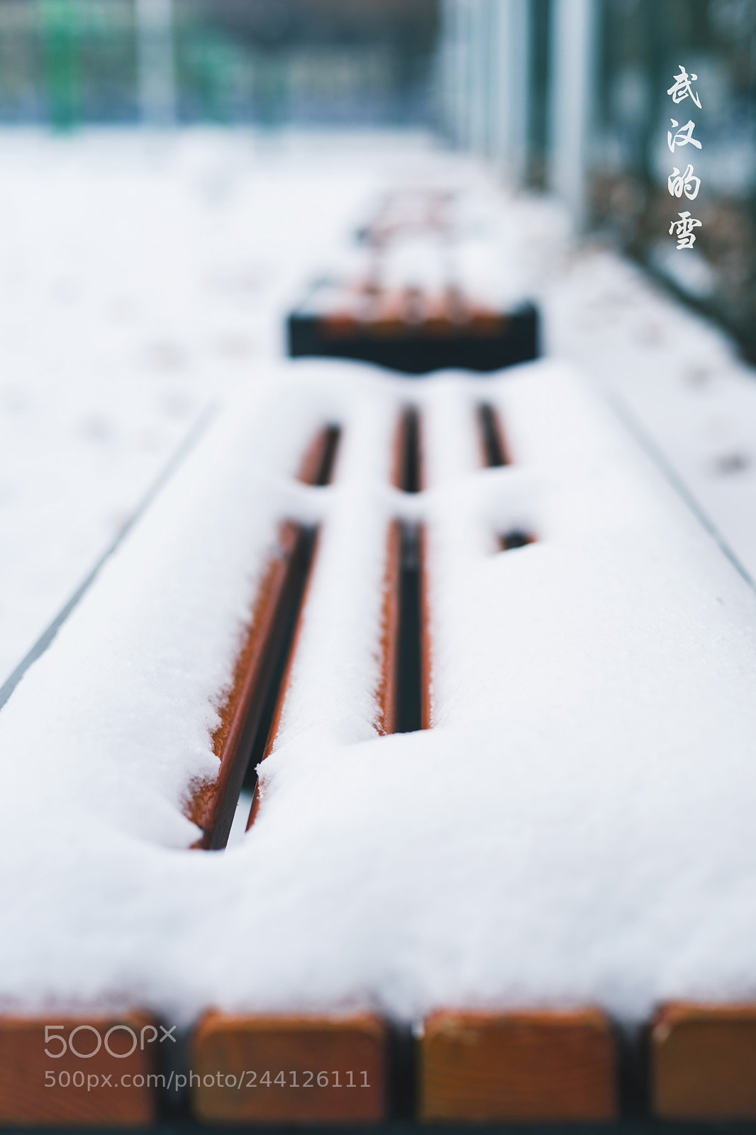 Sony Alpha a99 sample photo. Snow photography