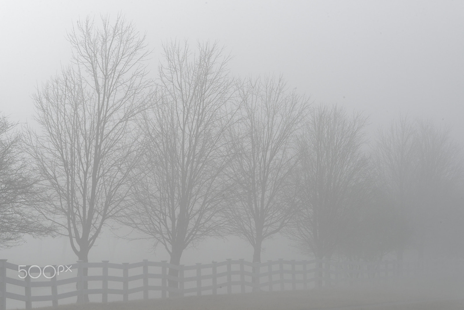 Nikon AF-S Nikkor 70-200mm F4G ED VR sample photo. Foggy morning photography