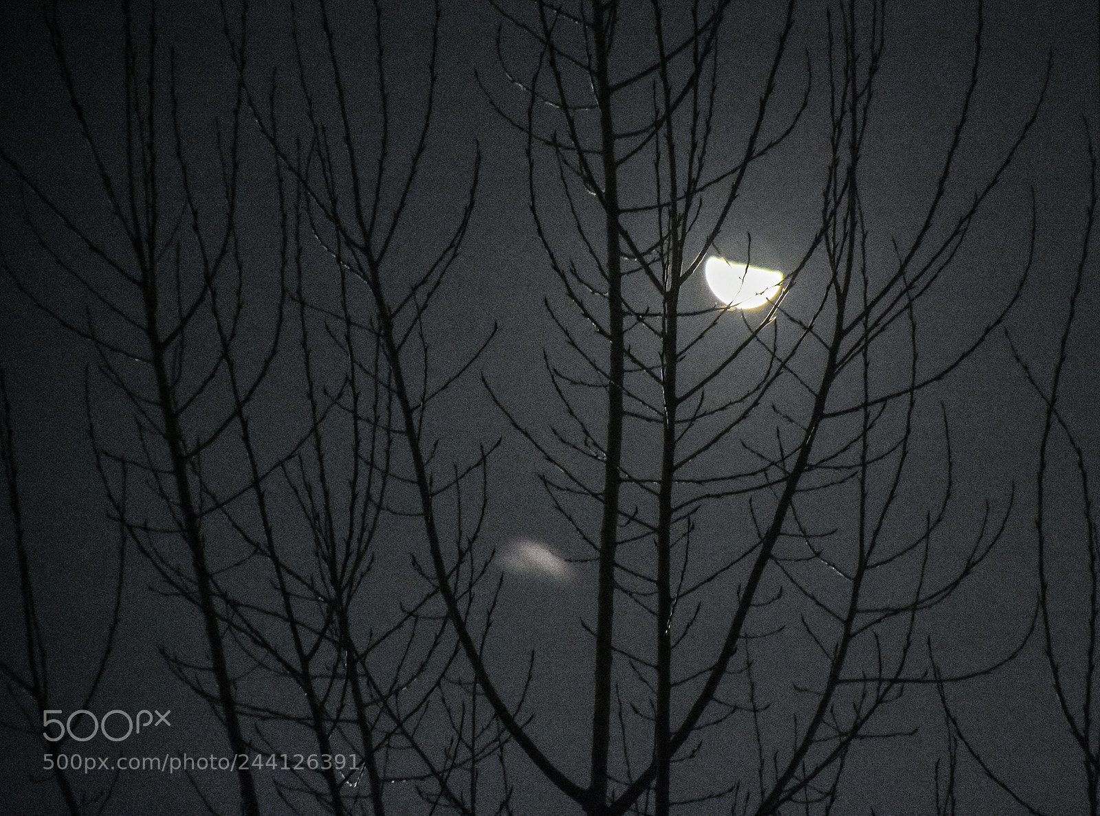 Nikon D7200 sample photo. Winter moon photography