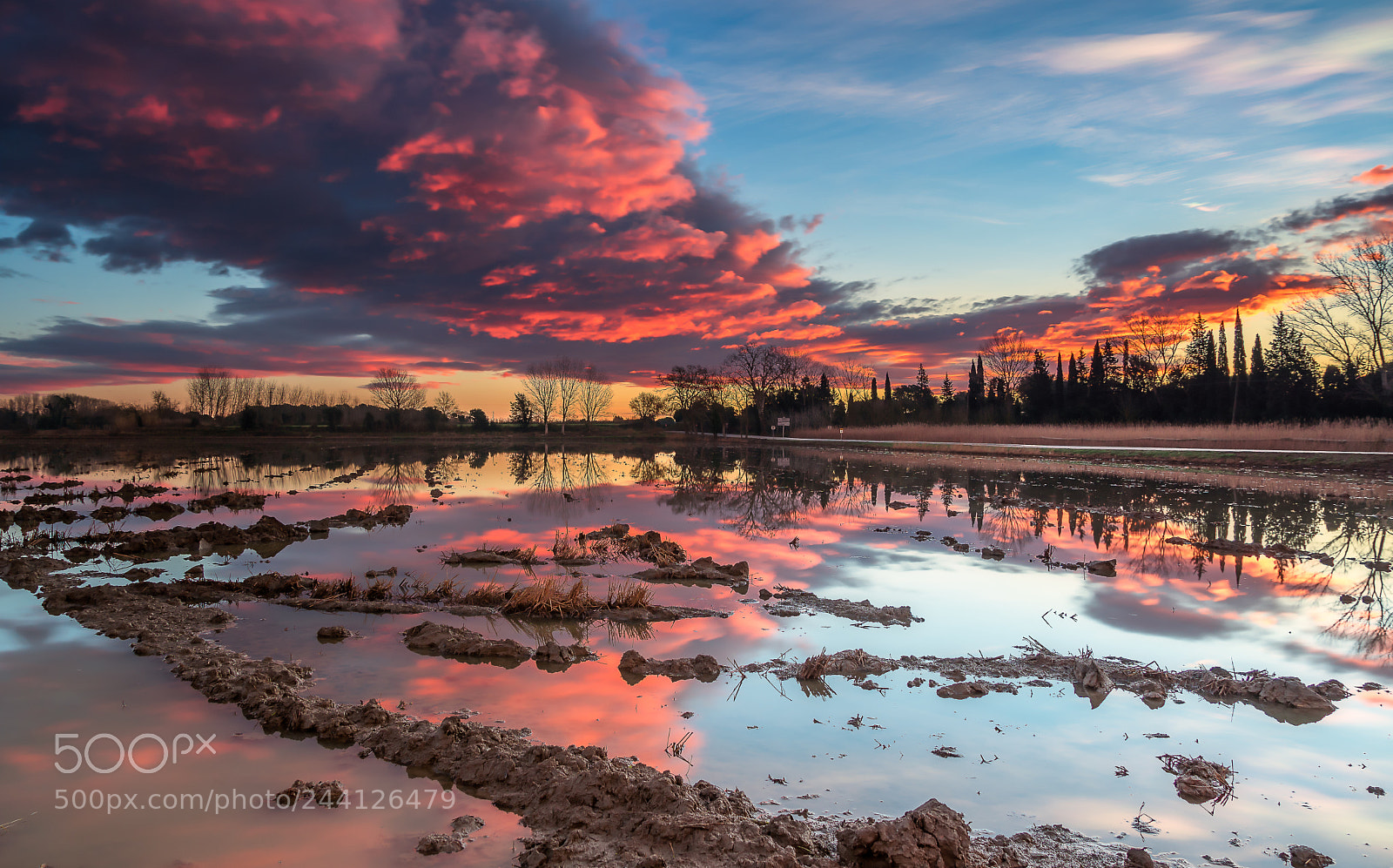 Sony ILCA-77M2 sample photo. Reflexes rogencs photography