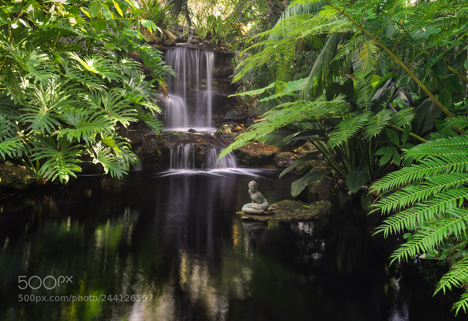 Hasselblad X1D-50c sample photo. Selby falls photography