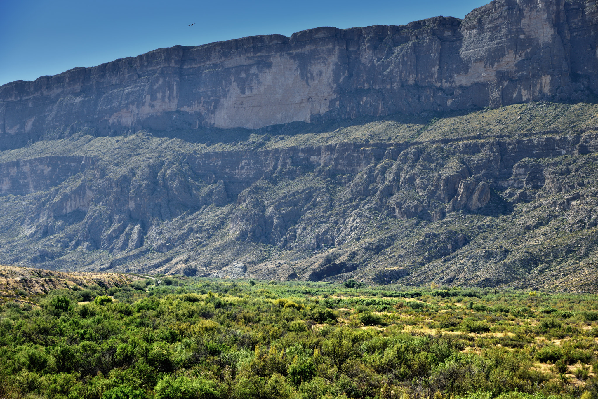 Nikon AF-S Nikkor 24-120mm F4G ED VR sample photo. A raven flying and soaring above big bend national park and the sierra ponce cliffs photography