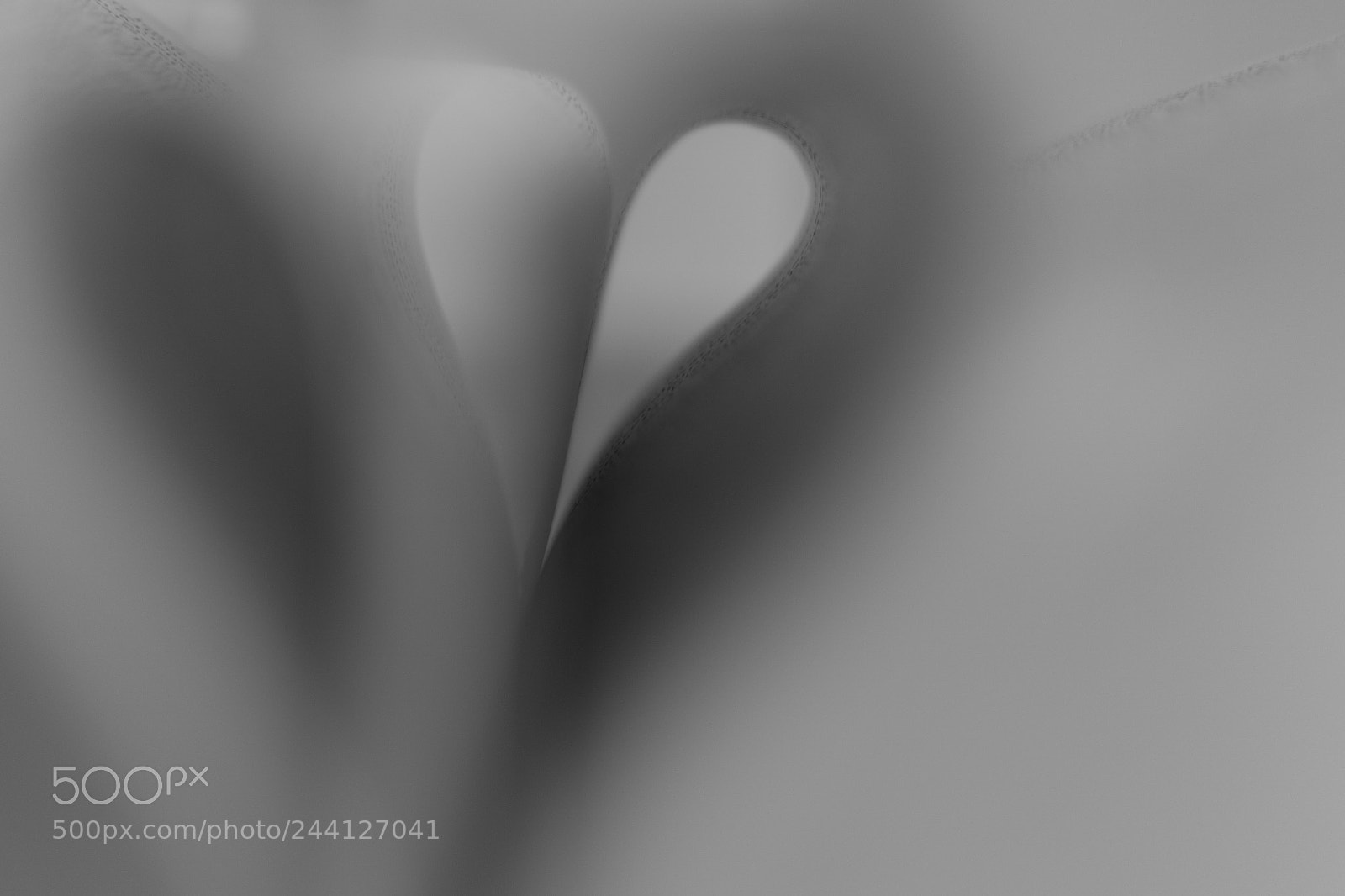 Sony ILCA-77M2 sample photo. Book of love photography