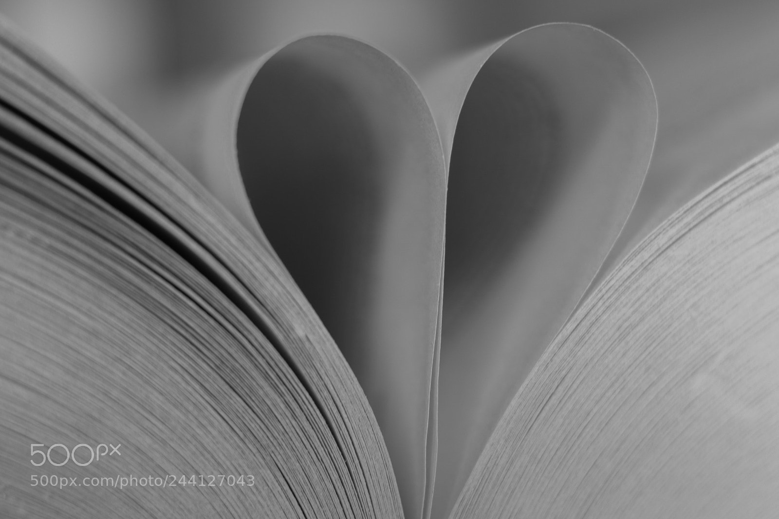 Sony ILCA-77M2 sample photo. Book of love photography