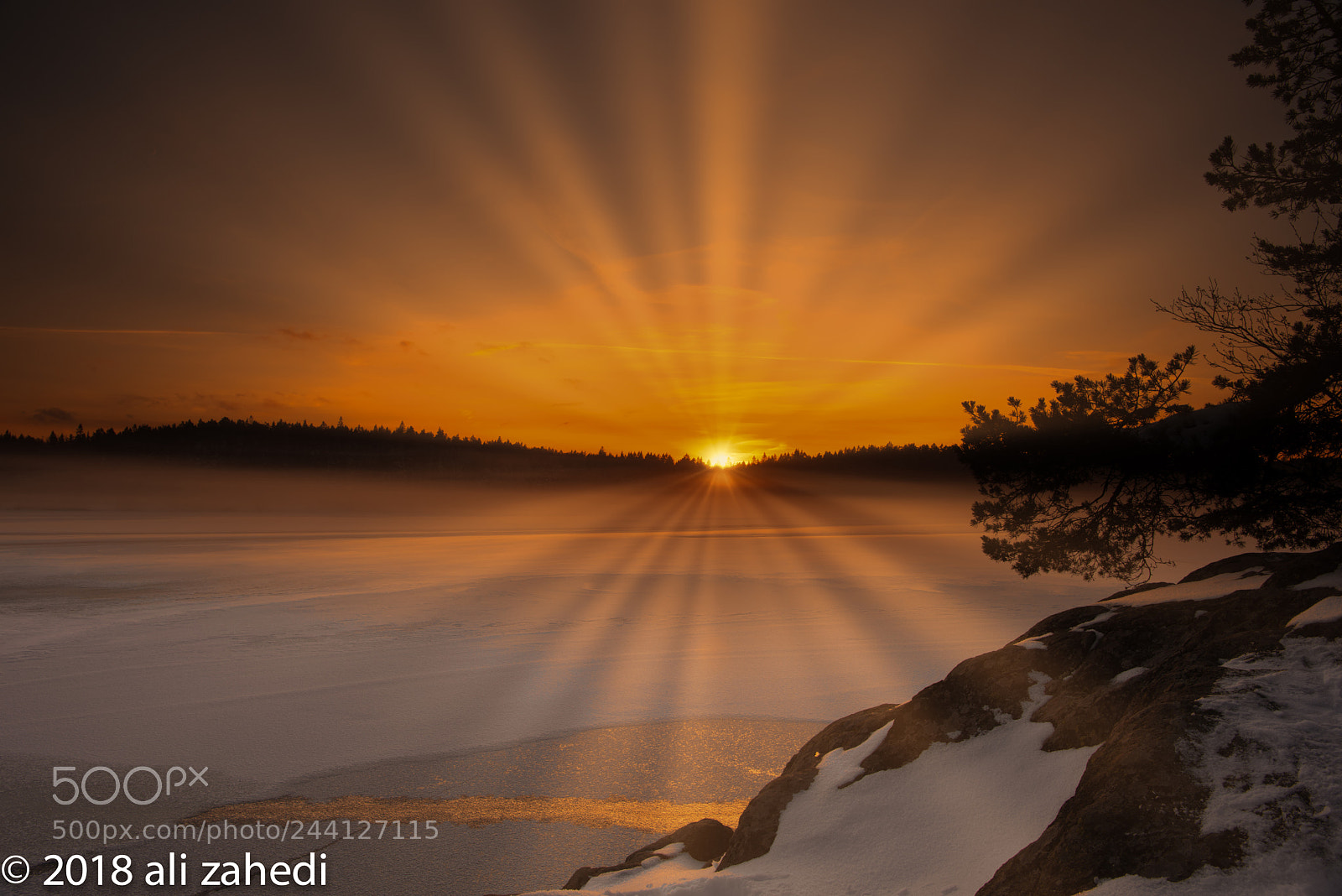 Nikon D810 sample photo. Stockholm sunset photography