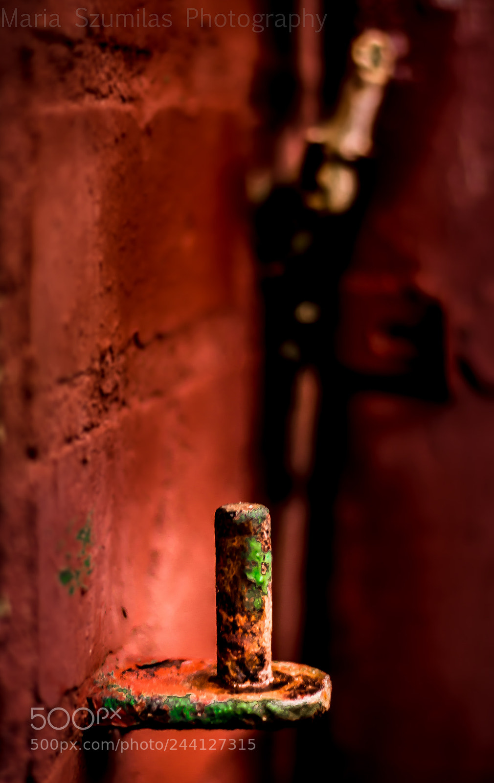 Nikon D7100 sample photo. Incomplete photography