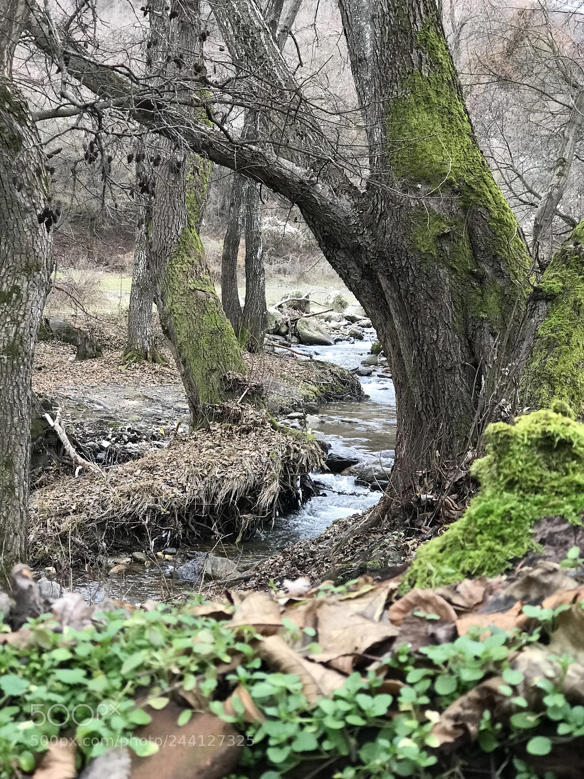 Apple iPhone 7 Plus sample photo. Riverside photography