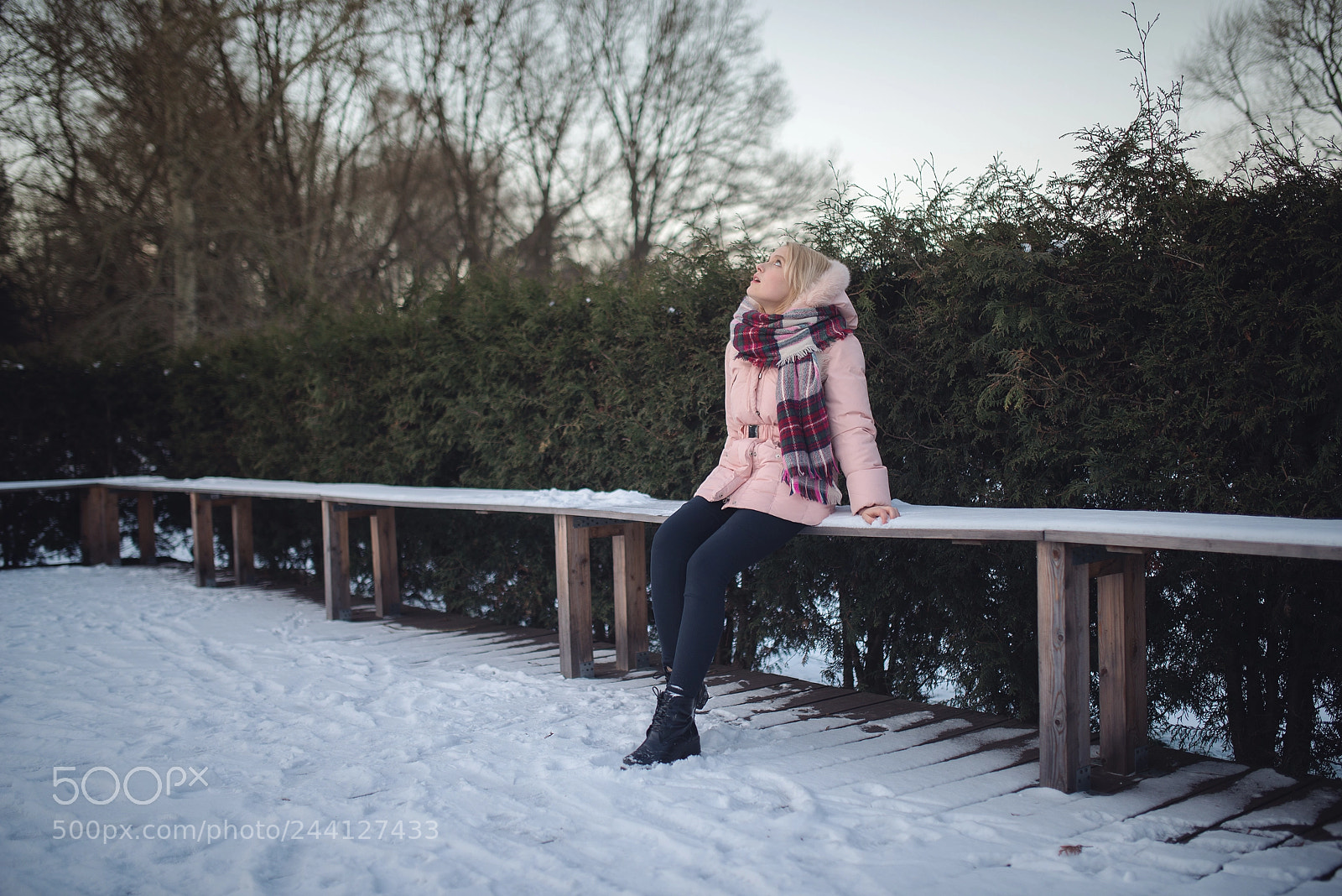 Nikon D800 sample photo. Mary on a walk photography