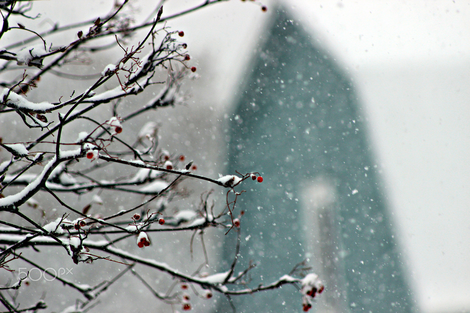 Canon EF 75-300mm f/4-5.6 USM sample photo. Winter time in ontario photography