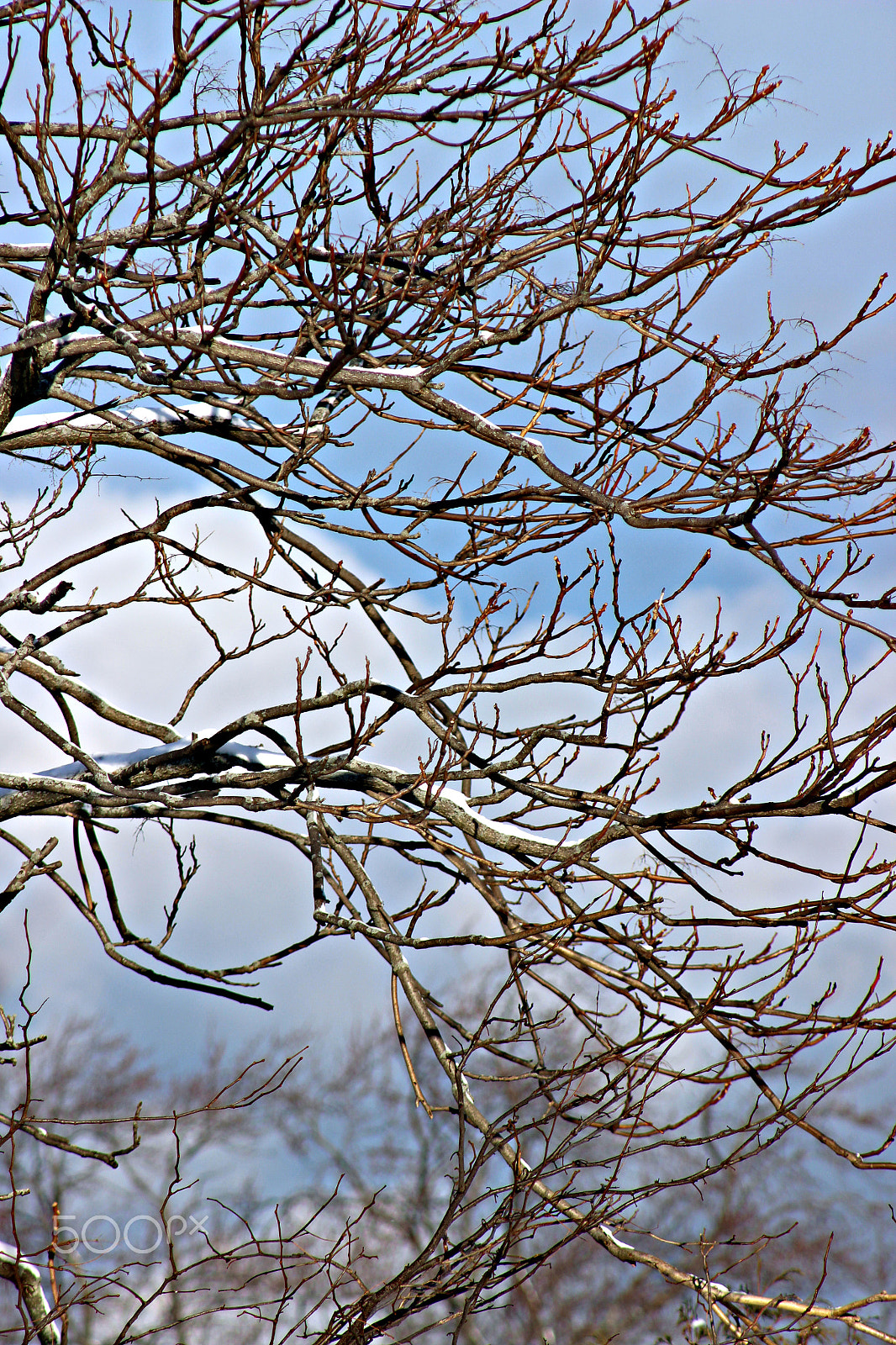 Canon EF 75-300mm f/4-5.6 USM sample photo. Winter time in ontario photography