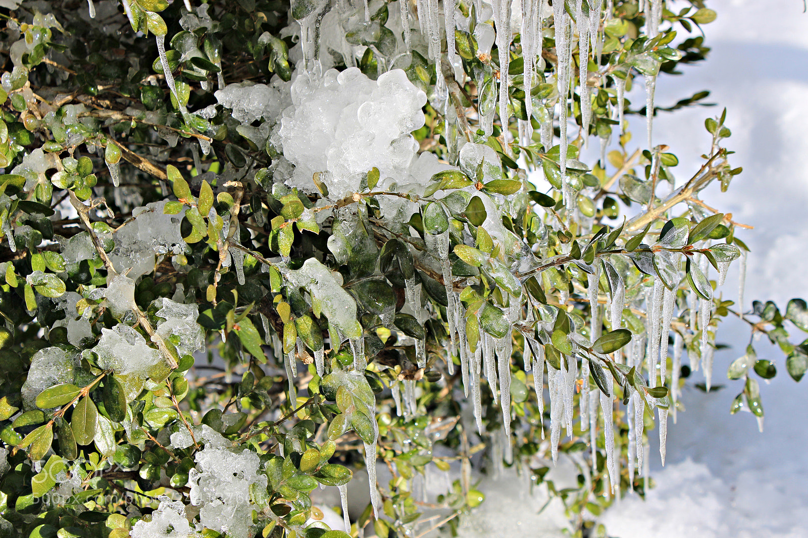 Canon EOS 600D (Rebel EOS T3i / EOS Kiss X5) sample photo. Winter time in ontario photography