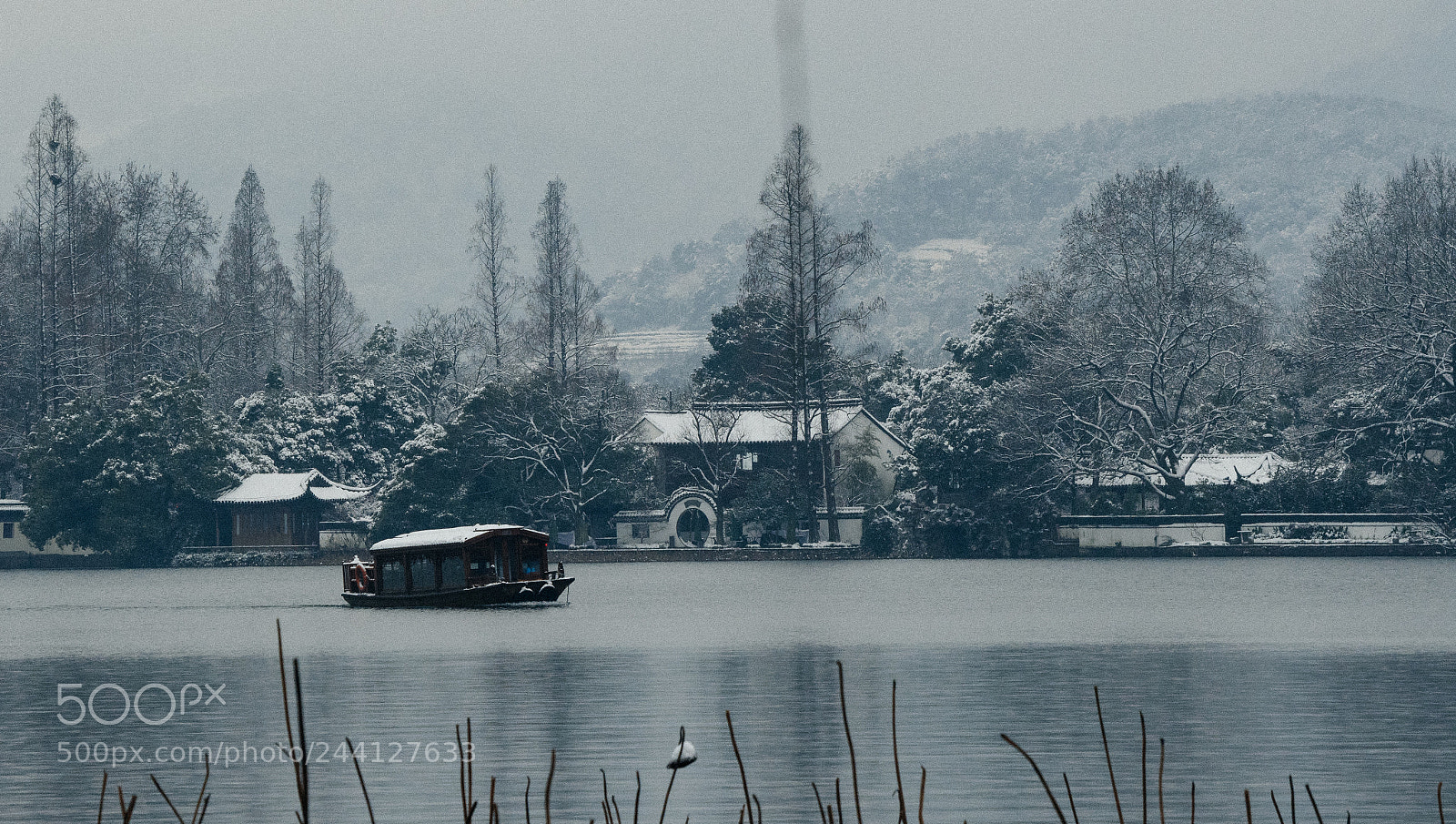 Pentax KP sample photo. ? photography