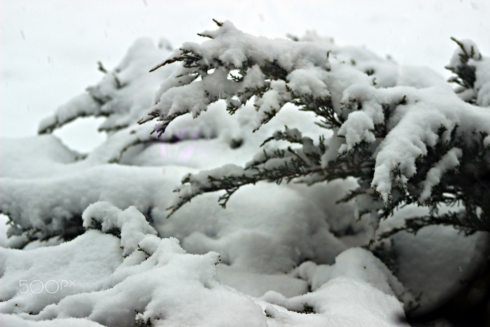 Canon EF 75-300mm f/4-5.6 USM sample photo. Winter time in ontario photography