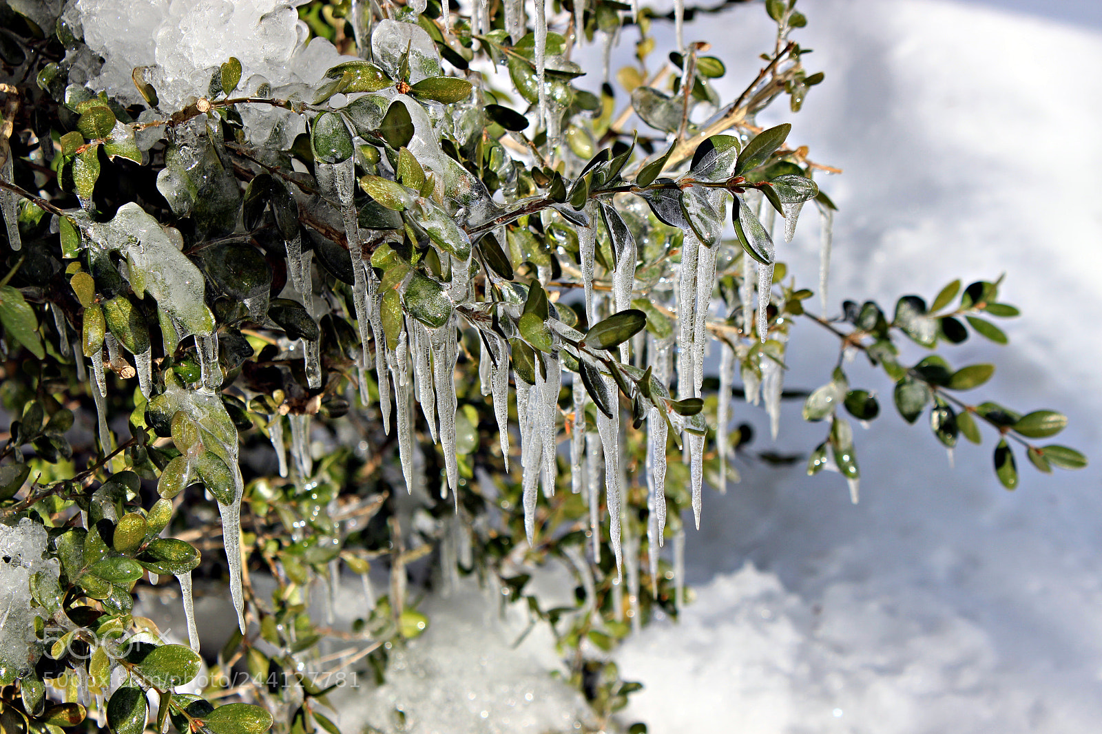 Canon EOS 600D (Rebel EOS T3i / EOS Kiss X5) sample photo. Winter time in ontario photography